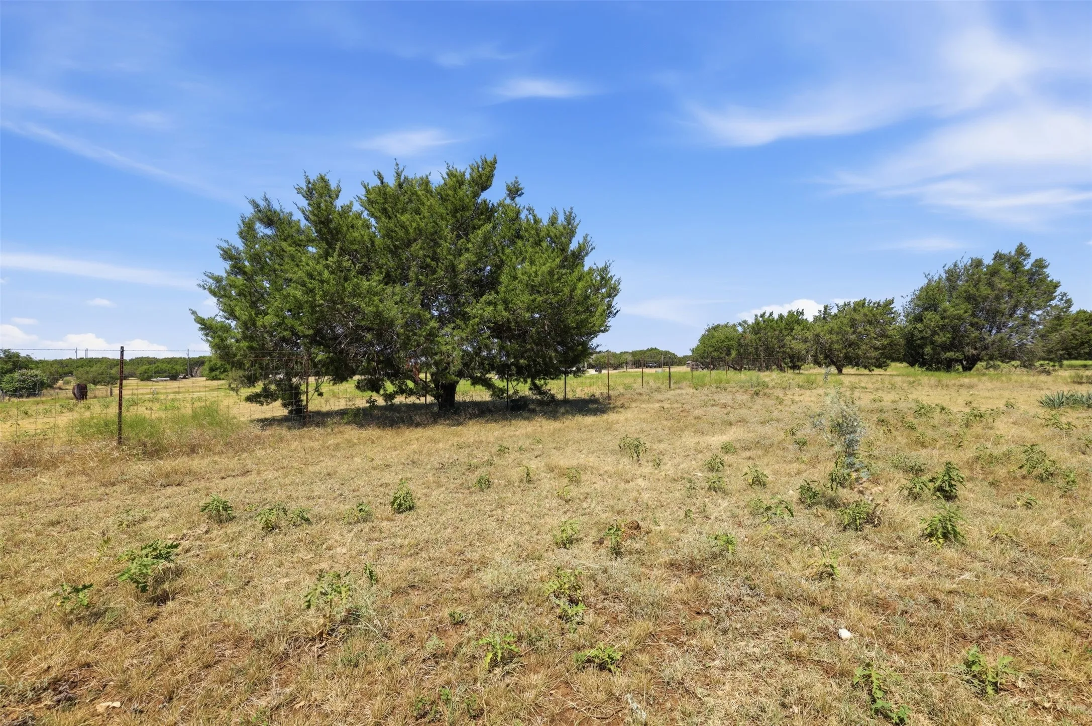 Manufactured Home For Rent in Johnson County , 9132 Windmill Court W, Cleburne, Texas 76033, 4 Bedroom, 2 Bathroom, Garage spaces, 1,568 Sqft, built in 2002, mls#21402997, Real Estate Agent in Cleburne, Homes For Rent in Johnson county, Homes For Rent in Cleburne, Realtor in Cleburne Texas, Real Estate Brokerage Independent Realty Texas, Luminita Cordes Realtor