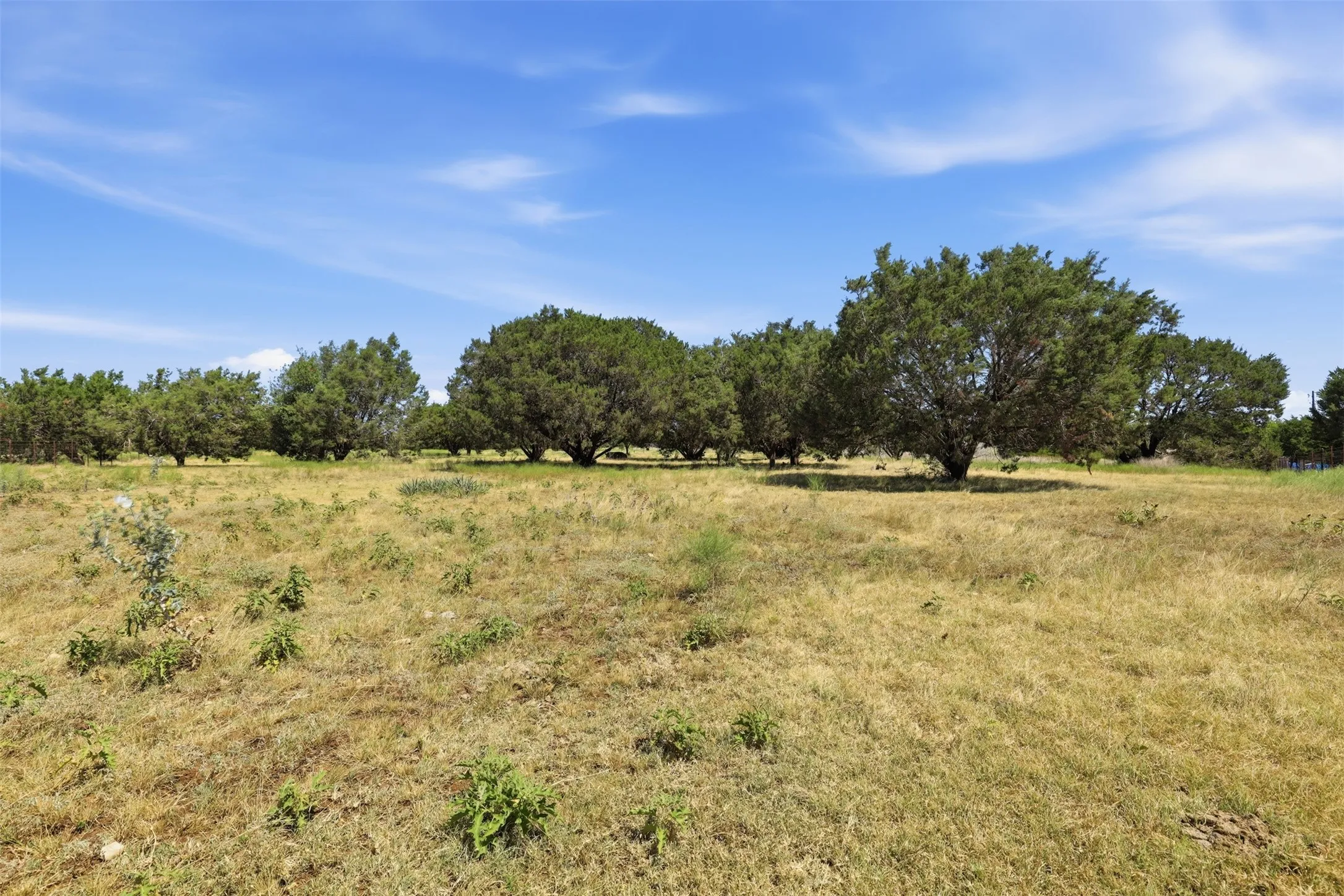 Manufactured Home For Rent in Johnson County , 9132 Windmill Court W, Cleburne, Texas 76033, 4 Bedroom, 2 Bathroom, Garage spaces, 1,568 Sqft, built in 2002, mls#21402997, Real Estate Agent in Cleburne, Homes For Rent in Johnson county, Homes For Rent in Cleburne, Realtor in Cleburne Texas, Real Estate Brokerage Independent Realty Texas, Luminita Cordes Realtor