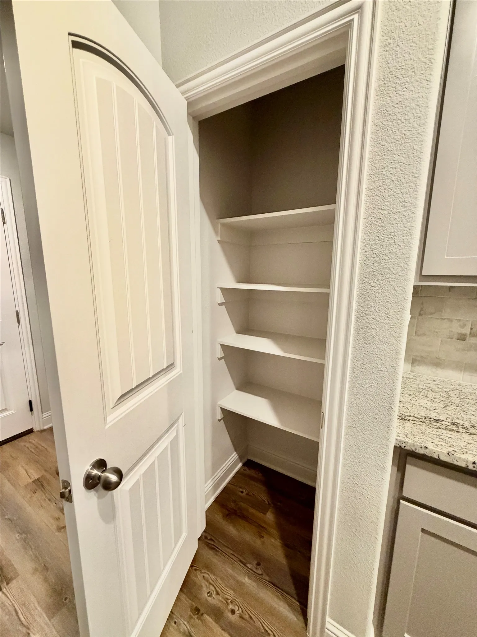 Pantry featuring five built-in shelves, wood-finish flooring, and a solid-panel door with an arched top detail