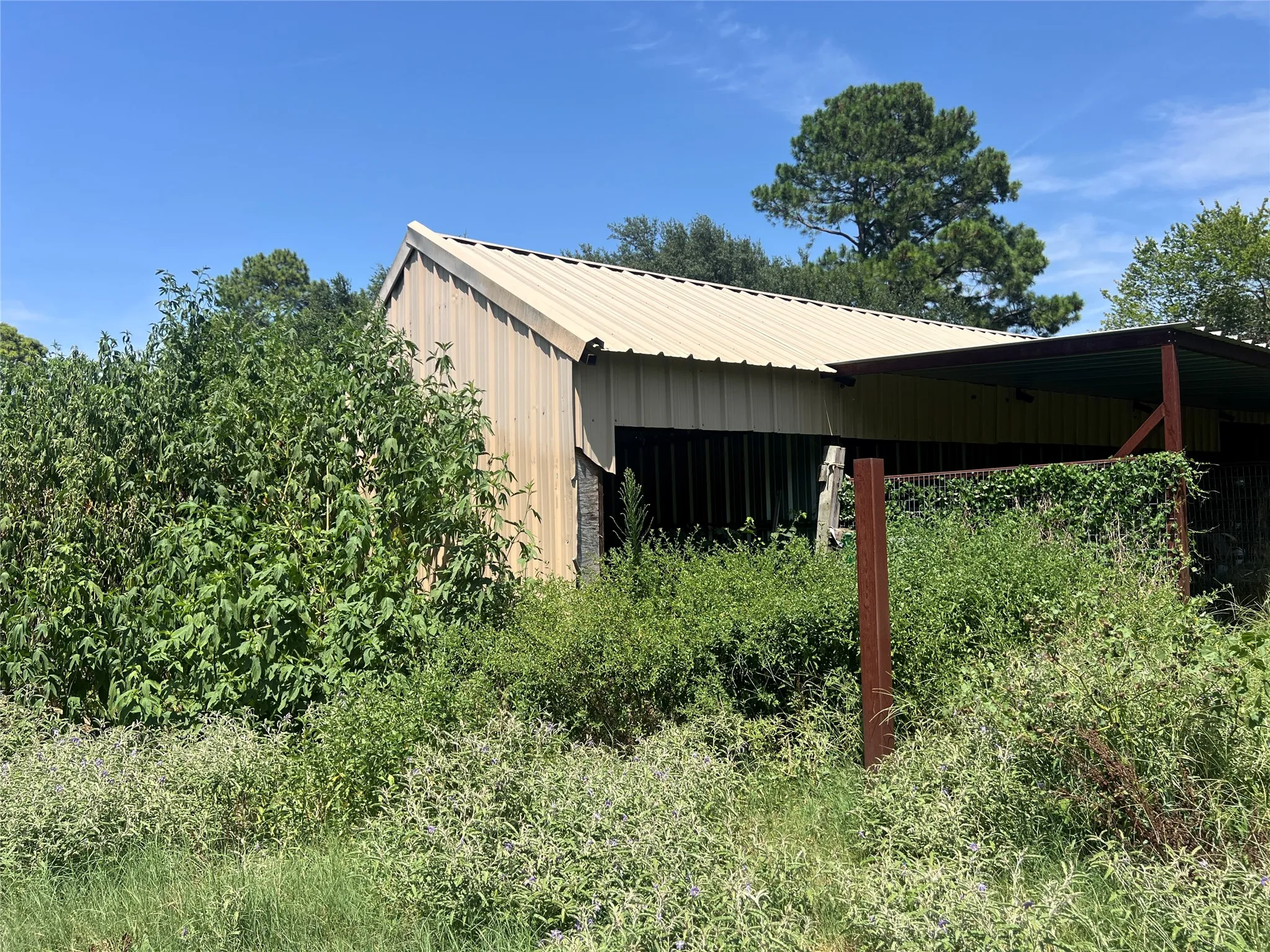 Barn