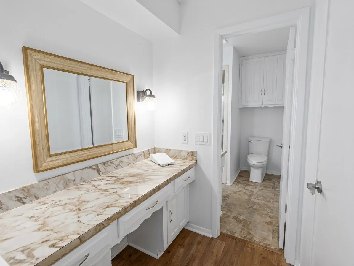 Primary Bathroom Vanity Area