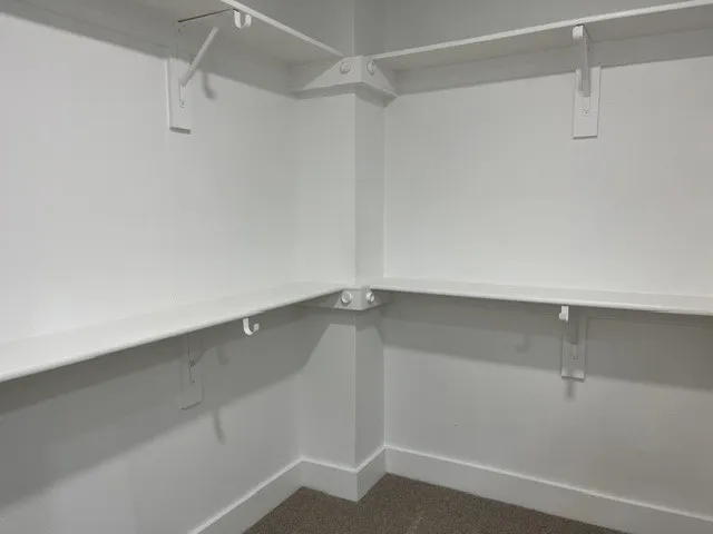 White painted interior with built-in shelving, integrated hanging rods, and neutral carpet flooring