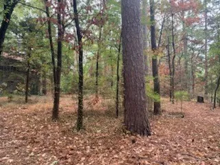 Single Family Residence For Sale in Wood County , 1042 Winding Trail, Holly Lake Ranch, Texas 75765, 2 Bedroom, 2 Bathroom, Garage spaces, 902 Sqft, built in 2005, mls#21402370, Real Estate Agent in Holly Lake Ranch, Homes For Sale in Wood county, Homes For Sale in Holly Lake Ranch, Realtor in Holly Lake Ranch Texas, Real Estate Brokerage Independent Realty Texas, Luminita Cordes Realtor