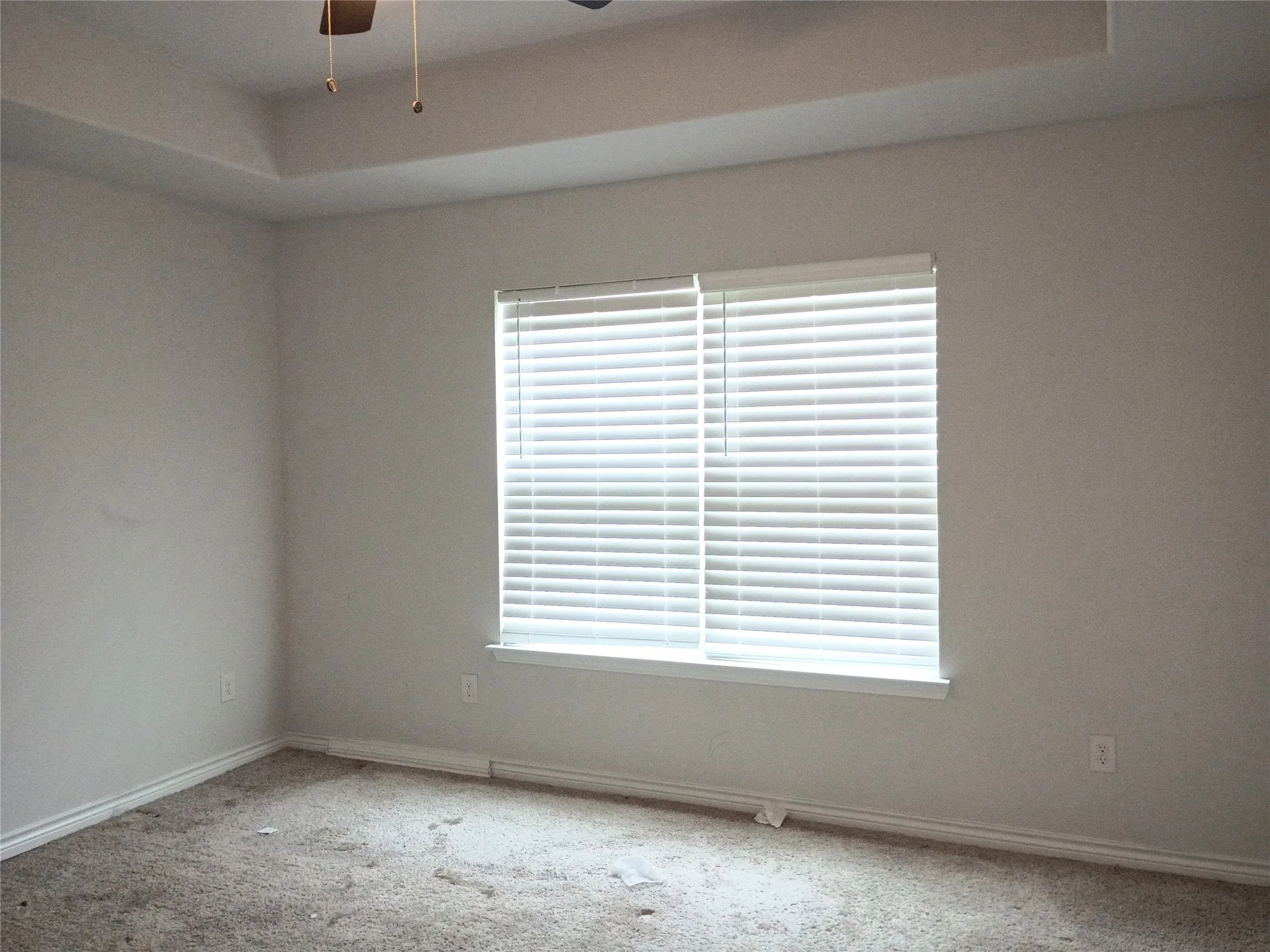Master bedroom. Carpet has been cleaned.
