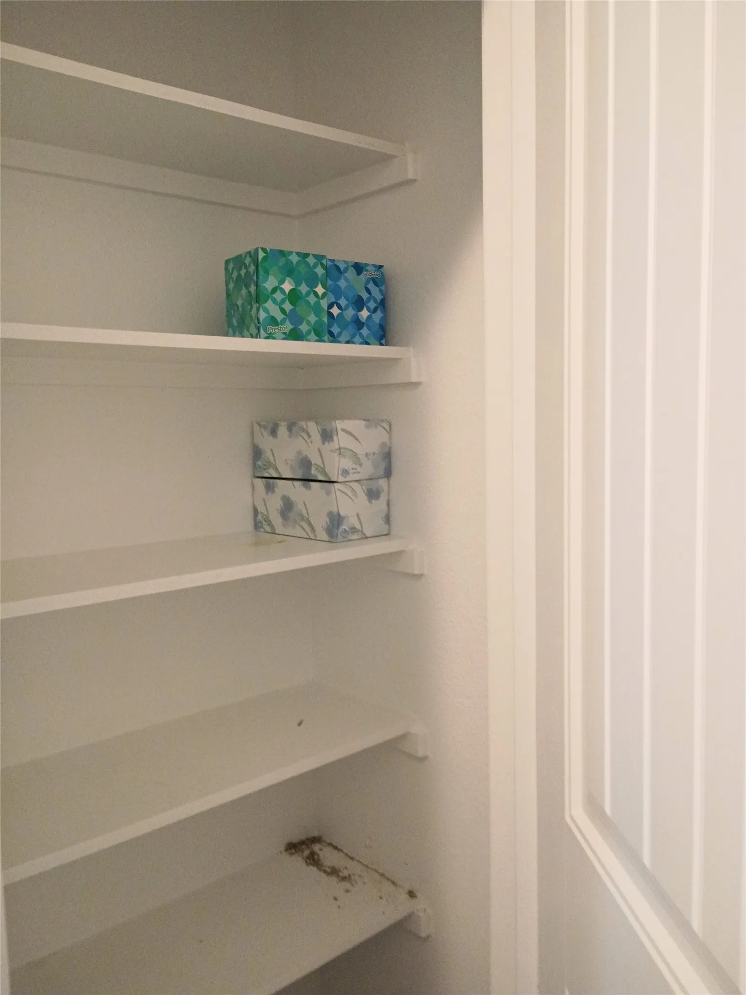 Linen closet in Hall