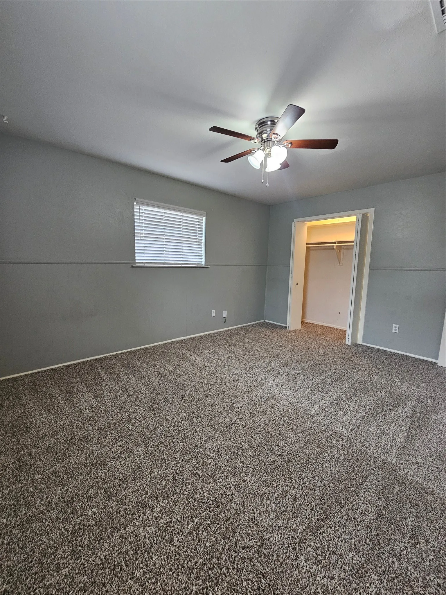 Plush gray carpet, neutral wall finishes, ceiling fan with light fixture, window with blinds, and built-in closet shelving