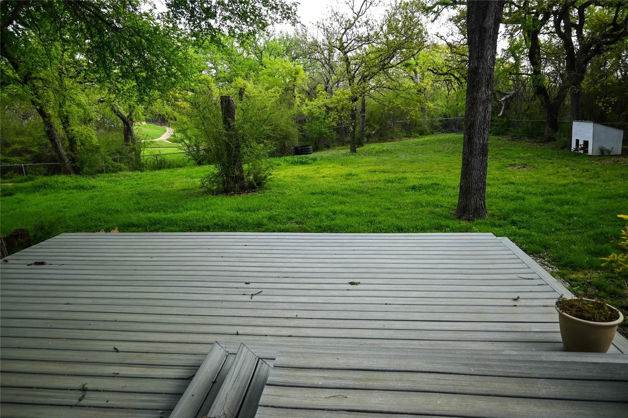 Expansive outdoor decking extending to a lush green lawn, bordered by mature trees and natural landscaping