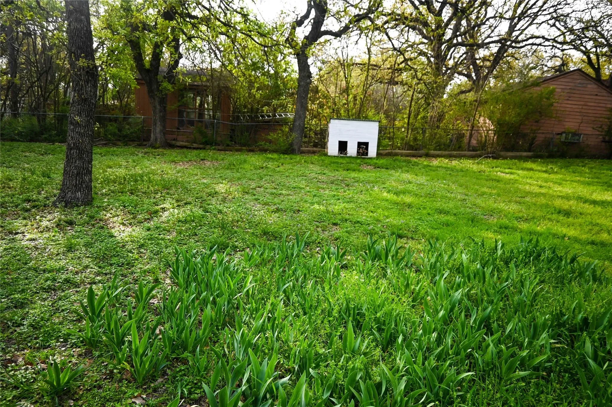 Expansive green lawn with mature trees and established plantings