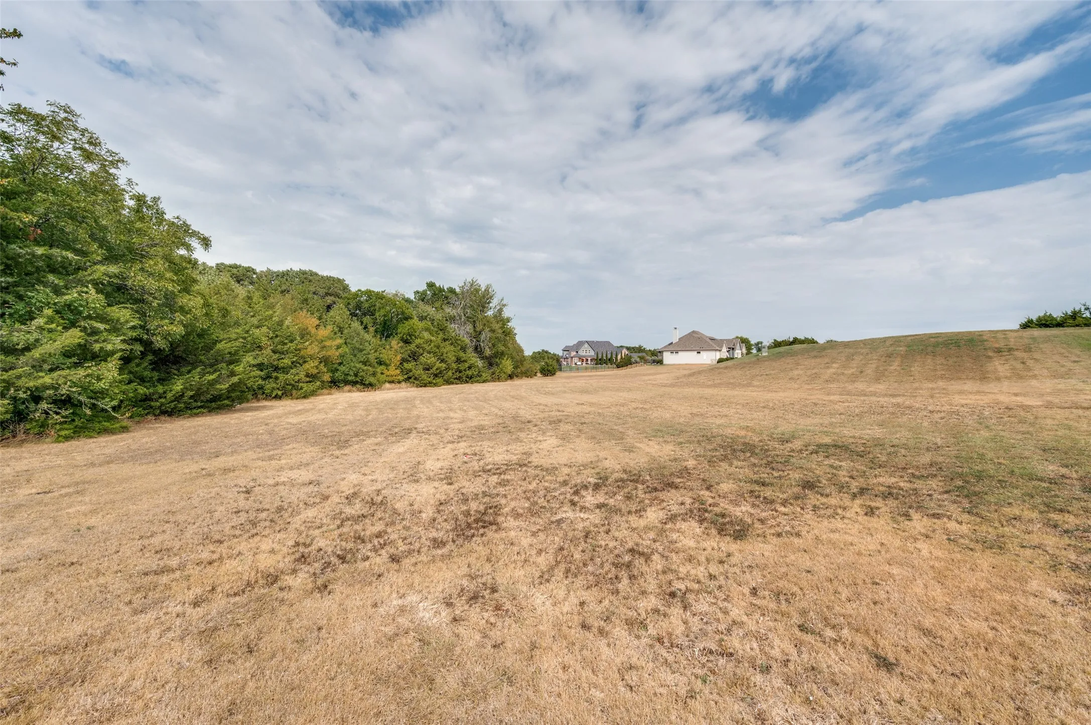 Looking E from the large grassy area in the front part of the lot.