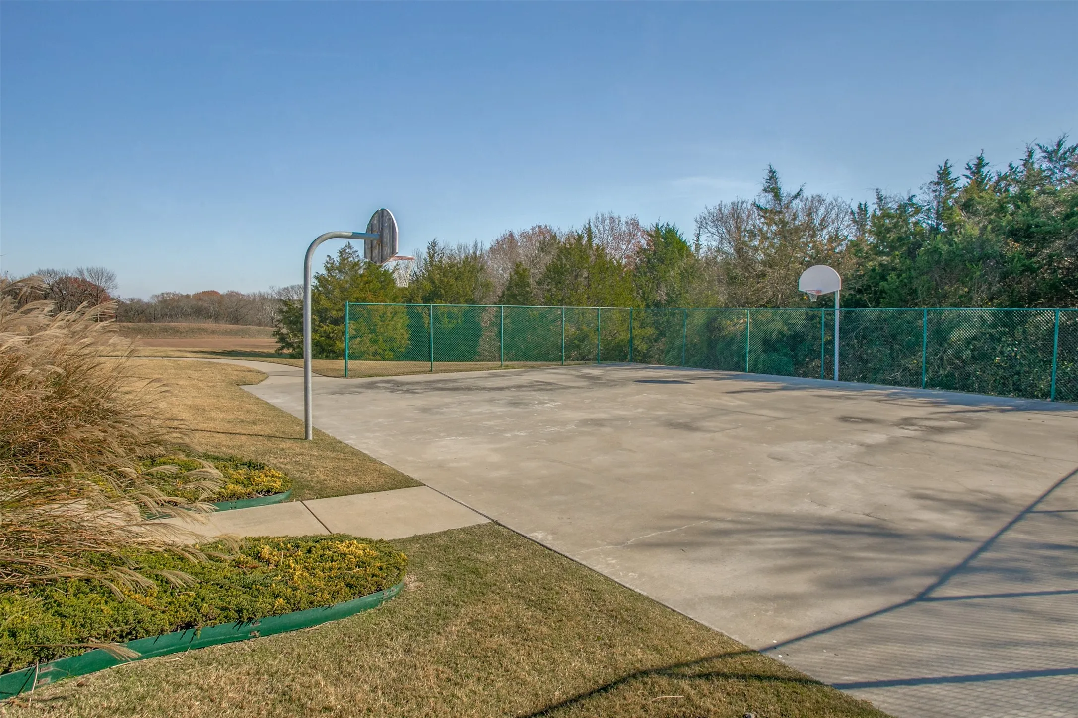 Come shoot some hoops!