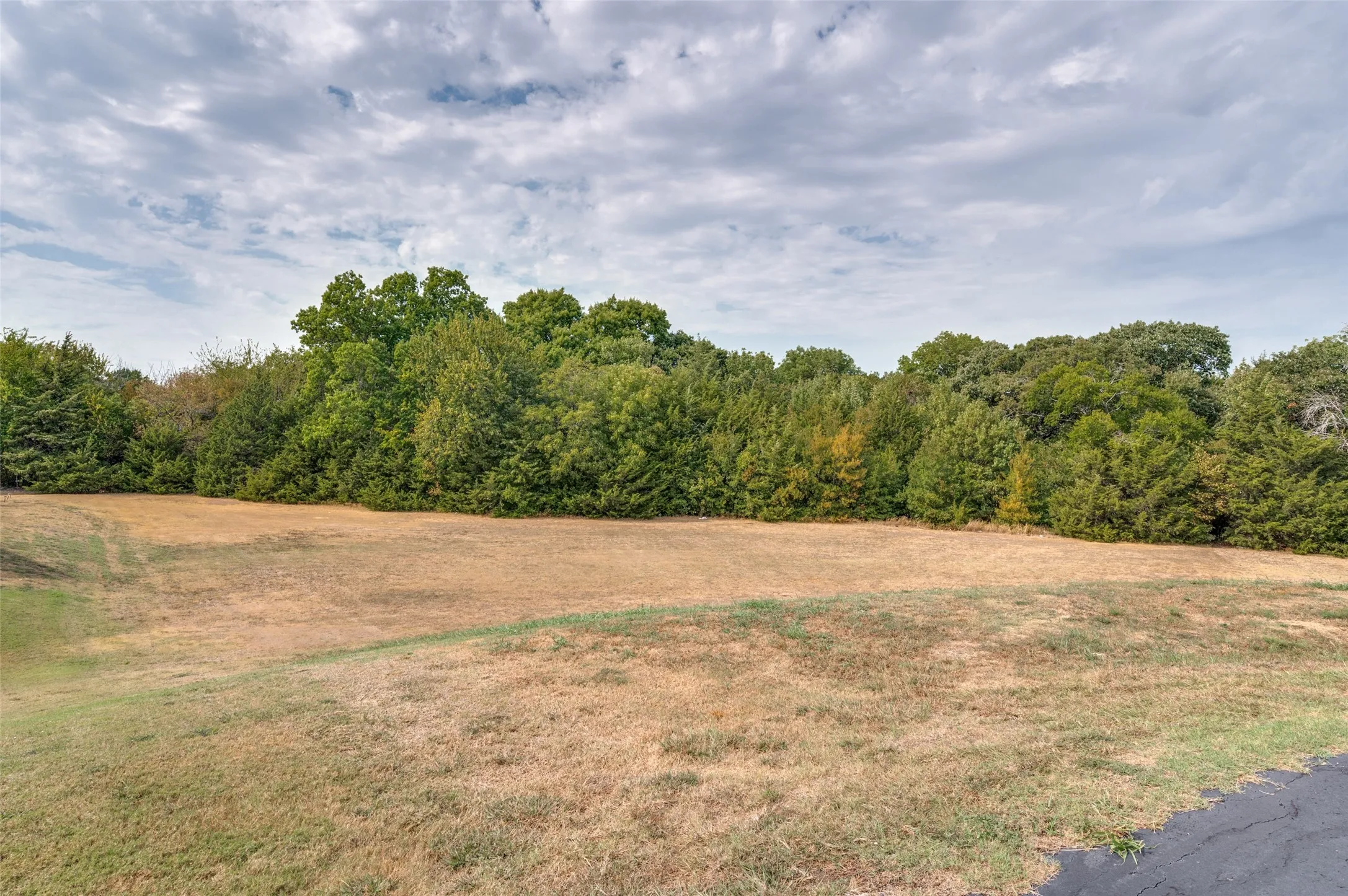 Lookin NW from street level, and showing large grassy area in front part of lot with a beautiful wooded view.