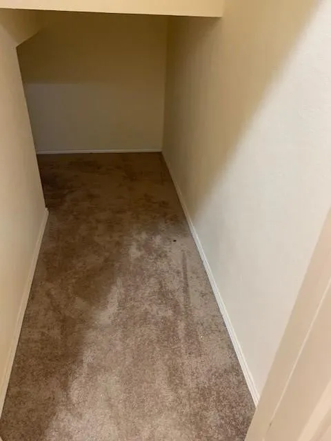 Storage under steps
