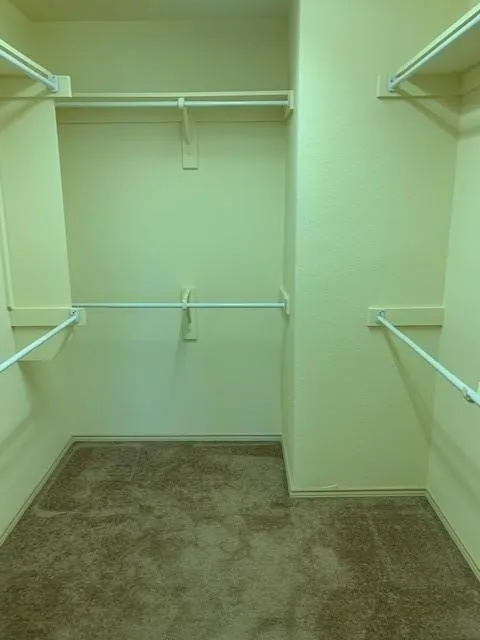 Primary closet