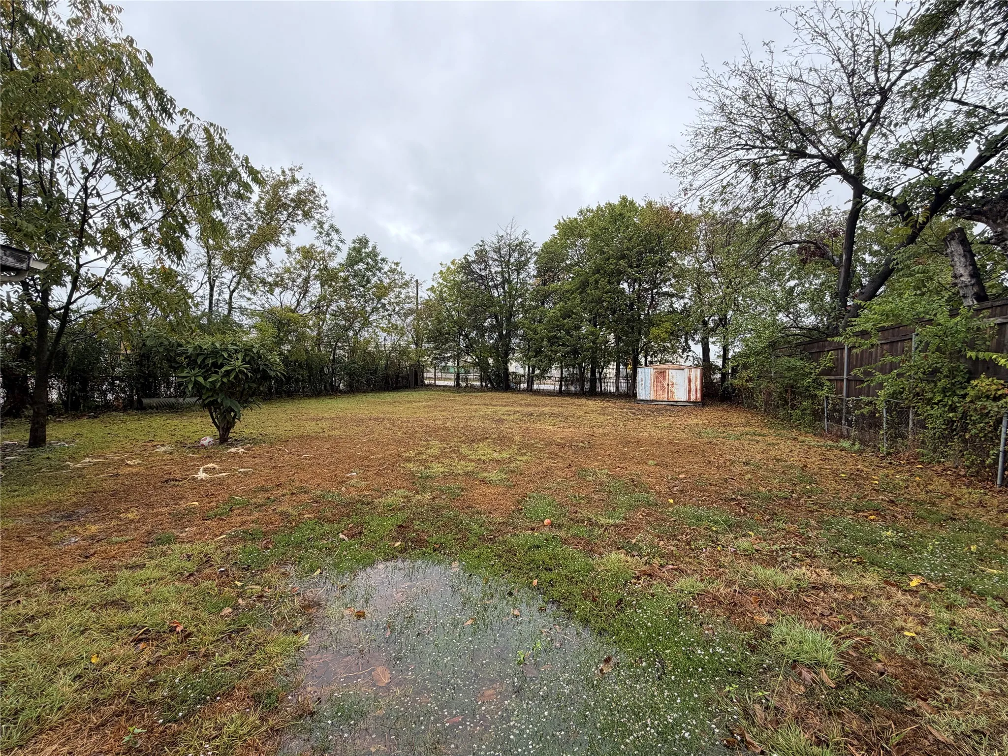 Back yard
