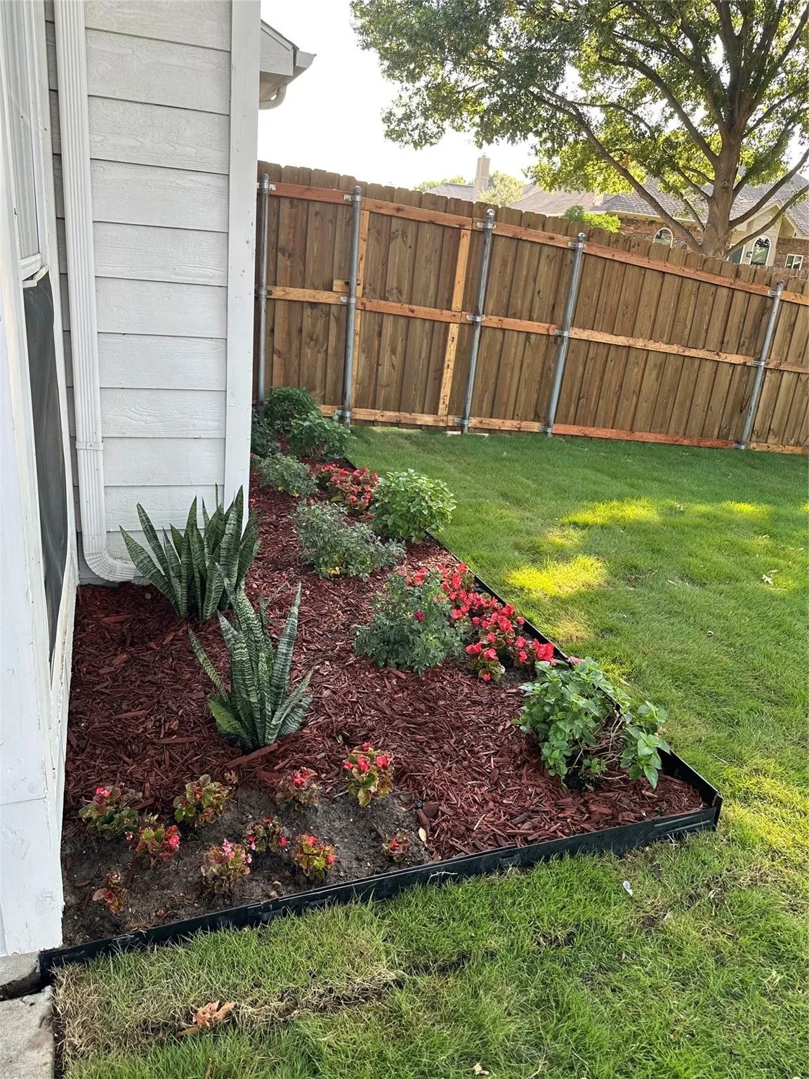 Landscaped garden bed with red mulch and various plantings, bordered by a dark edge