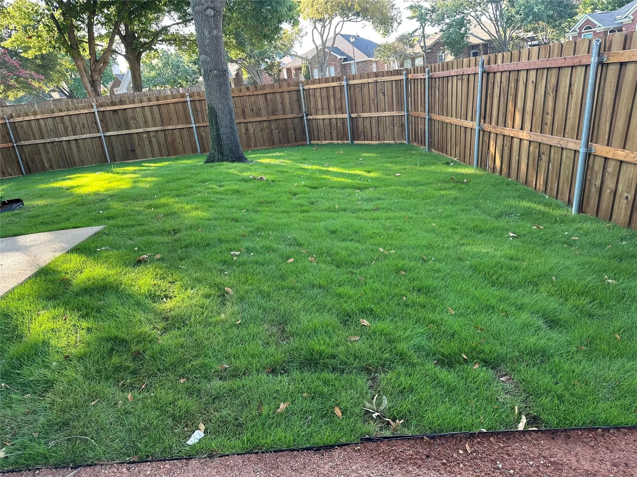 Expansive lawn area with a wood privacy fence and mature tree