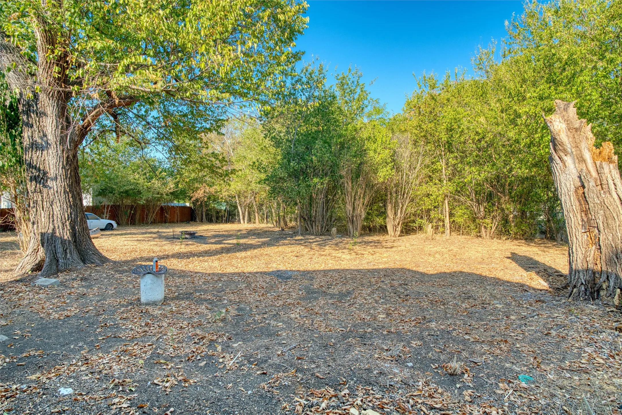 Deep backyard with mature trees