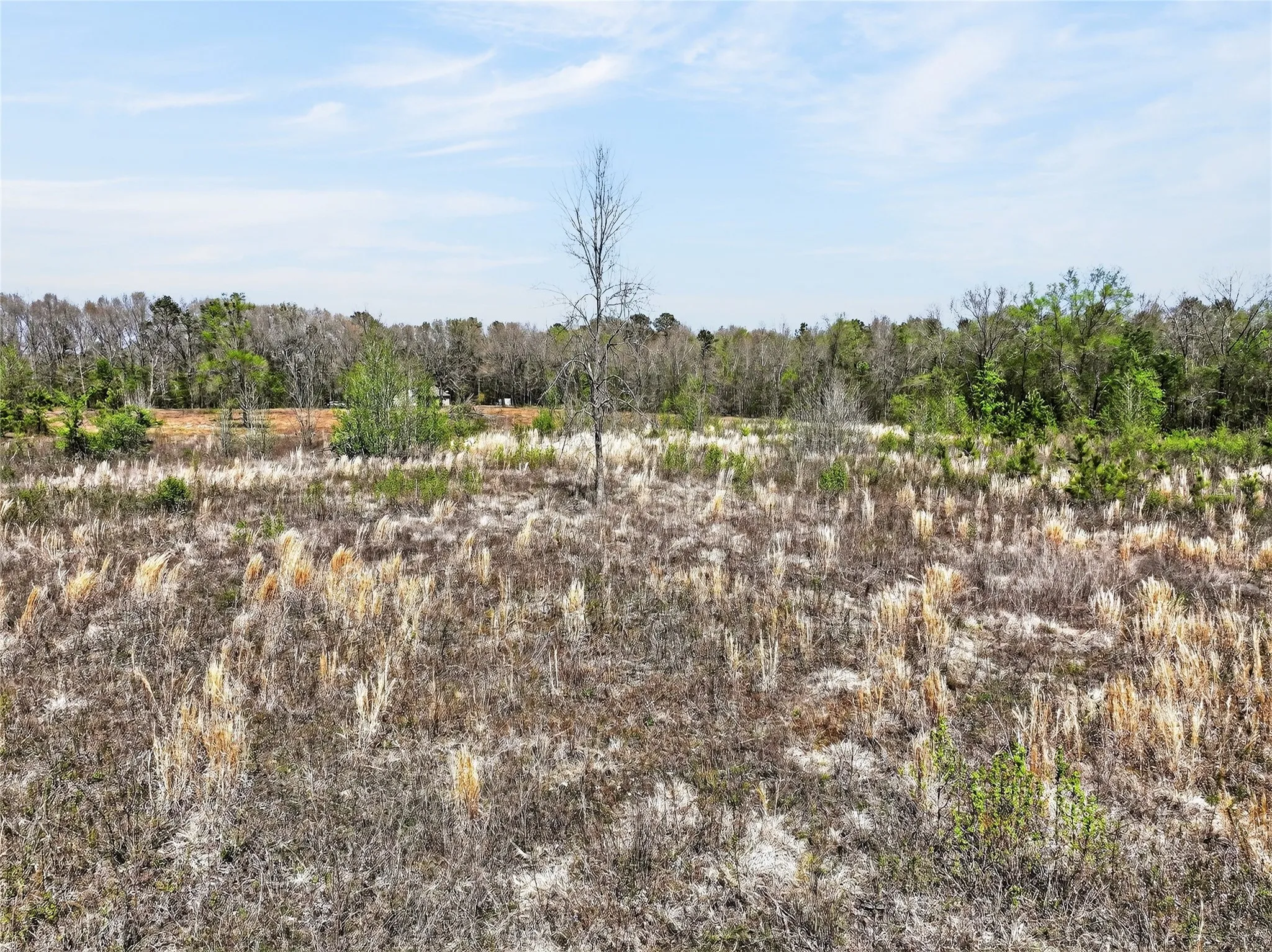 View of nature with rural landscape
