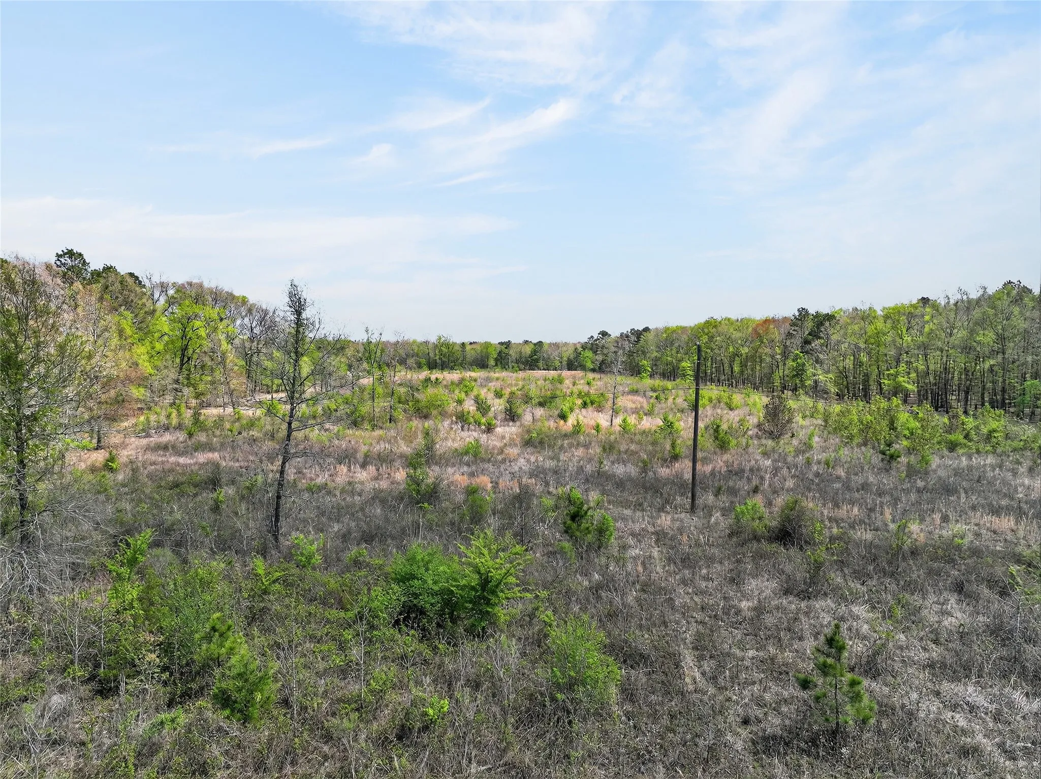 View of local wilderness with rural landscape