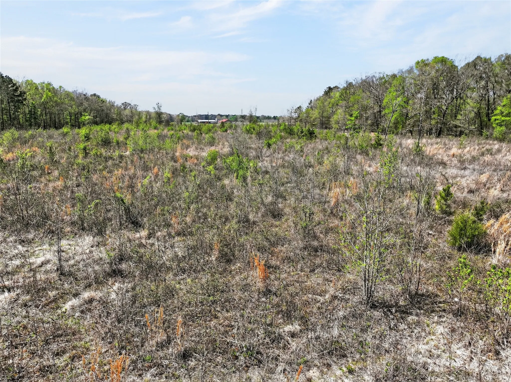 View of undeveloped land