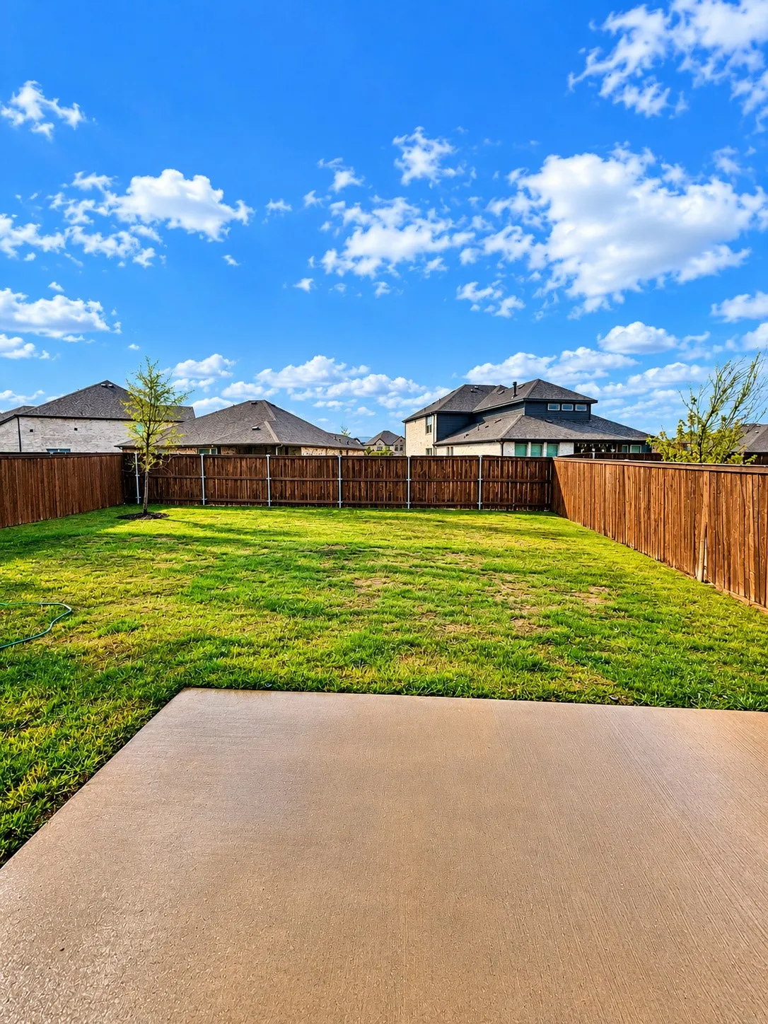 Backyard