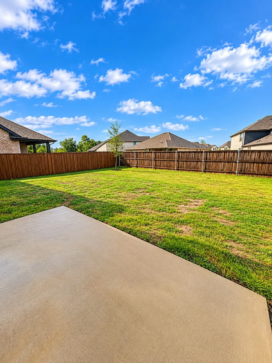Backyard