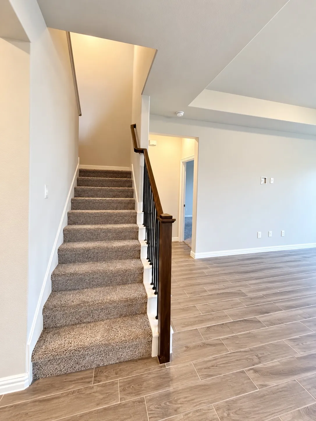 Staircase with carpeted