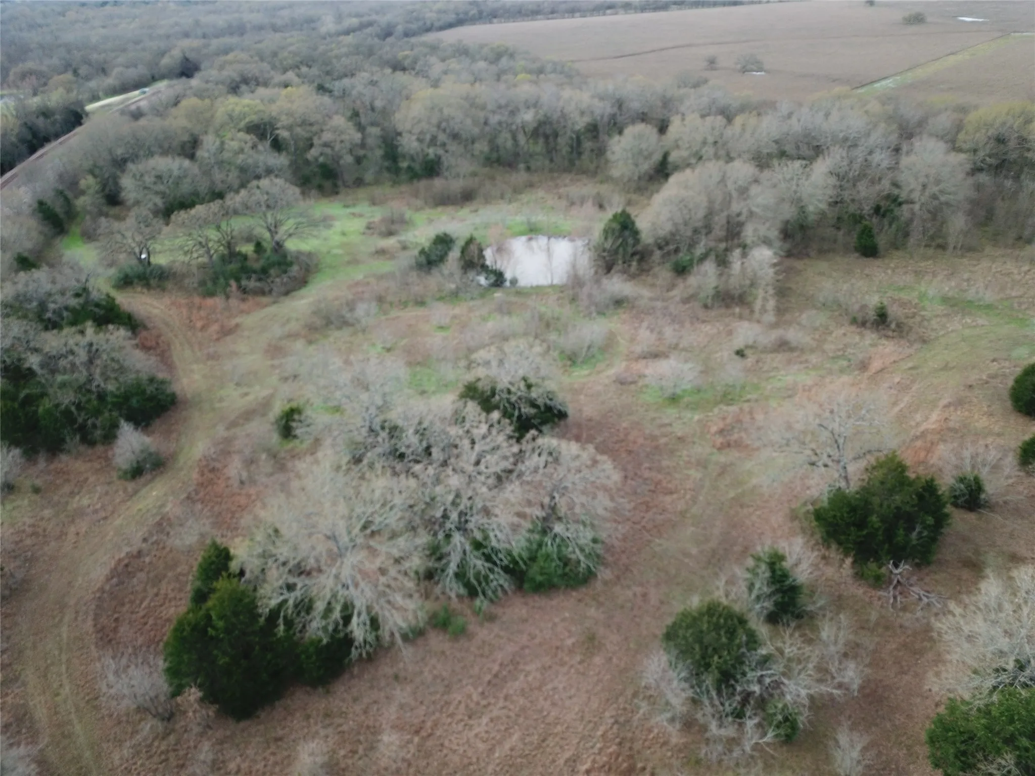Ranch For Sale in Freestone County , 1110 Main, Streetman, Texas 75859, 0, 0, Garage spaces, 0 Sqft, built in 0, mls#21403173, Real Estate Agent in Streetman, Homes For Sale in Freestone county, Homes For Sale in Streetman, Realtor in Streetman Texas, Real Estate Brokerage Independent Realty Texas, Luminita Cordes Realtor