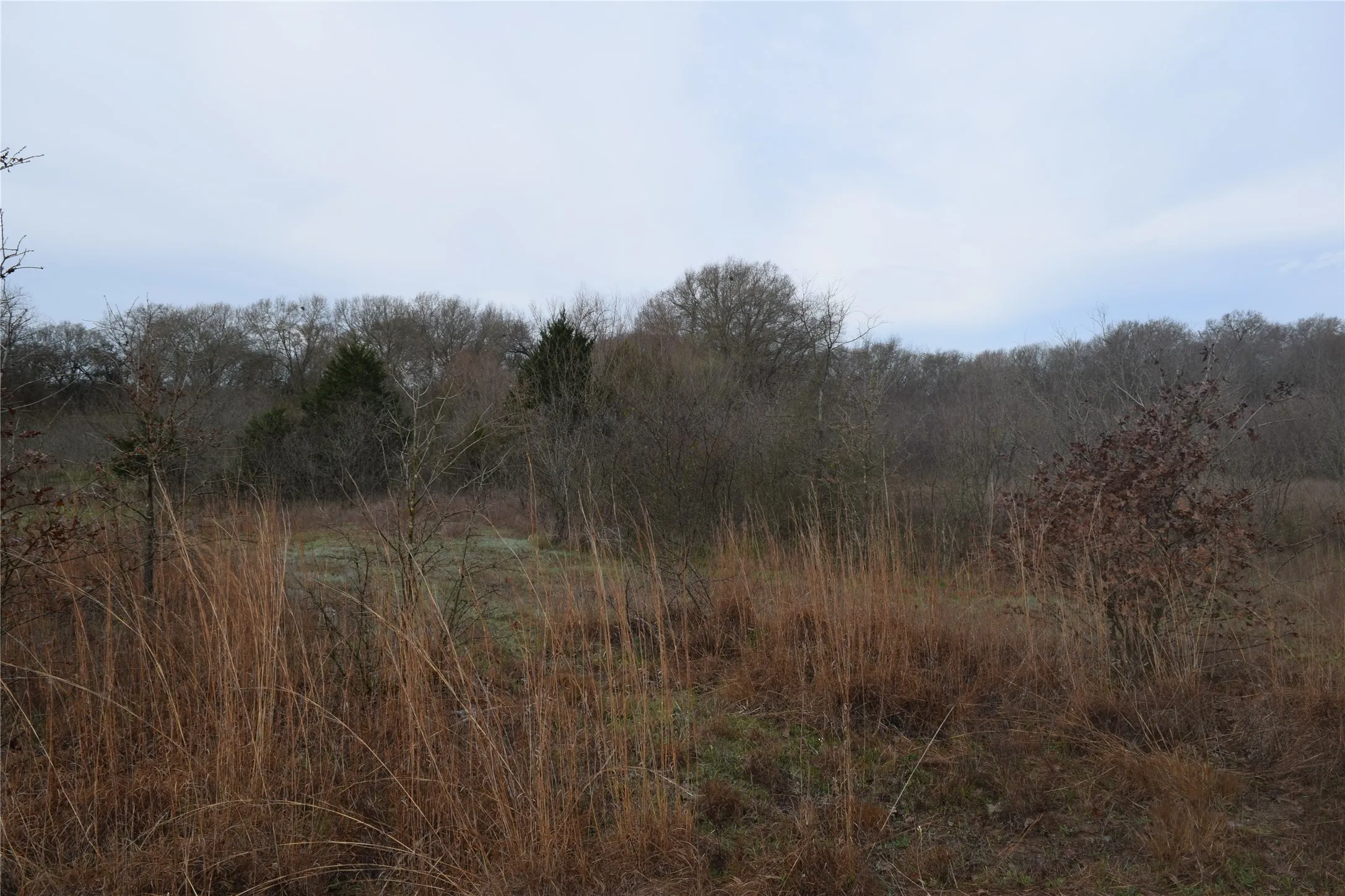 Ranch For Sale in Freestone County , 1110 Main, Streetman, Texas 75859, 0, 0, Garage spaces, 0 Sqft, built in 0, mls#21403173, Real Estate Agent in Streetman, Homes For Sale in Freestone county, Homes For Sale in Streetman, Realtor in Streetman Texas, Real Estate Brokerage Independent Realty Texas, Luminita Cordes Realtor