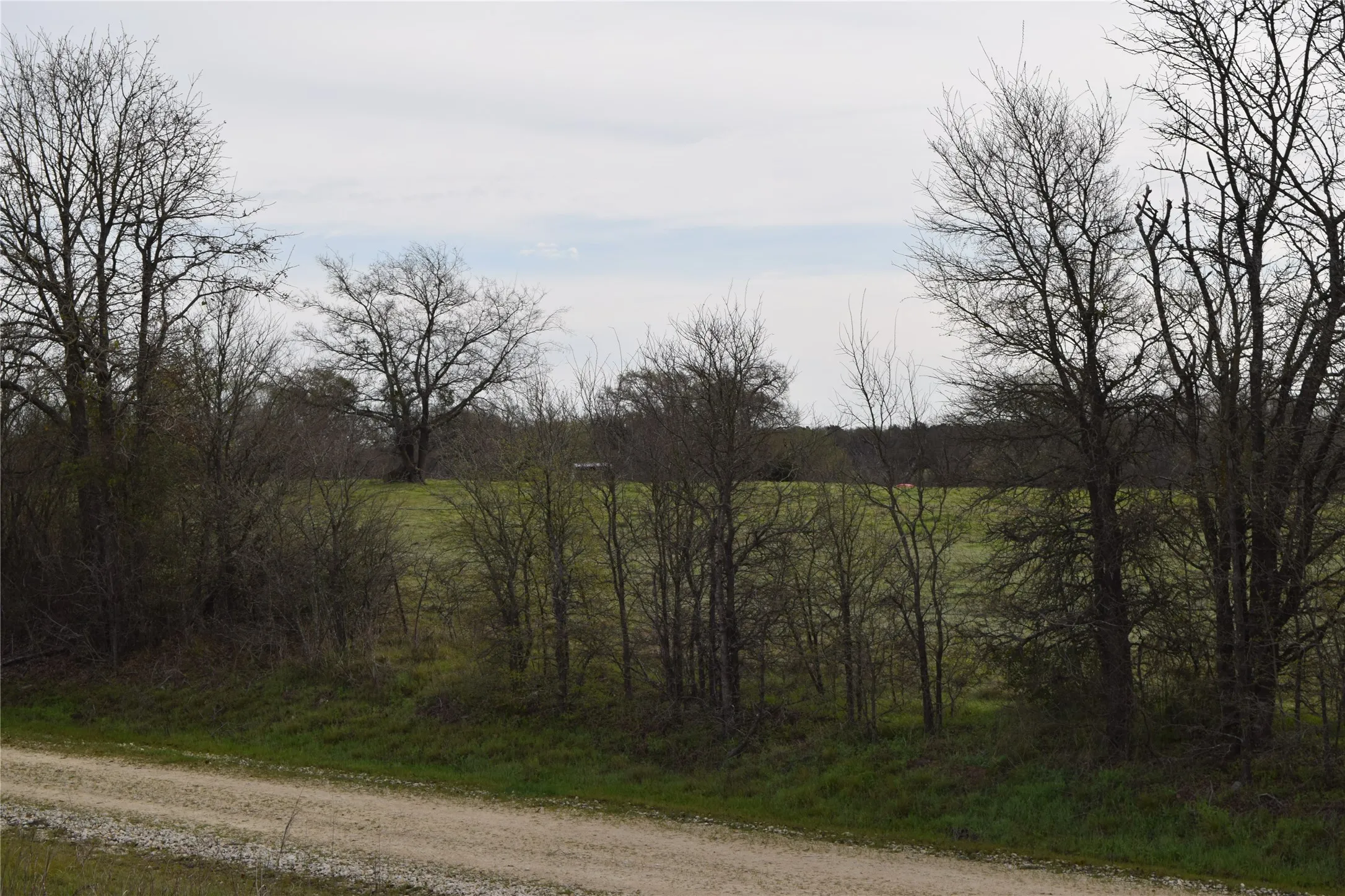 Ranch For Sale in Freestone County , 1110 Main, Streetman, Texas 75859, 0, 0, Garage spaces, 0 Sqft, built in 0, mls#21403173, Real Estate Agent in Streetman, Homes For Sale in Freestone county, Homes For Sale in Streetman, Realtor in Streetman Texas, Real Estate Brokerage Independent Realty Texas, Luminita Cordes Realtor