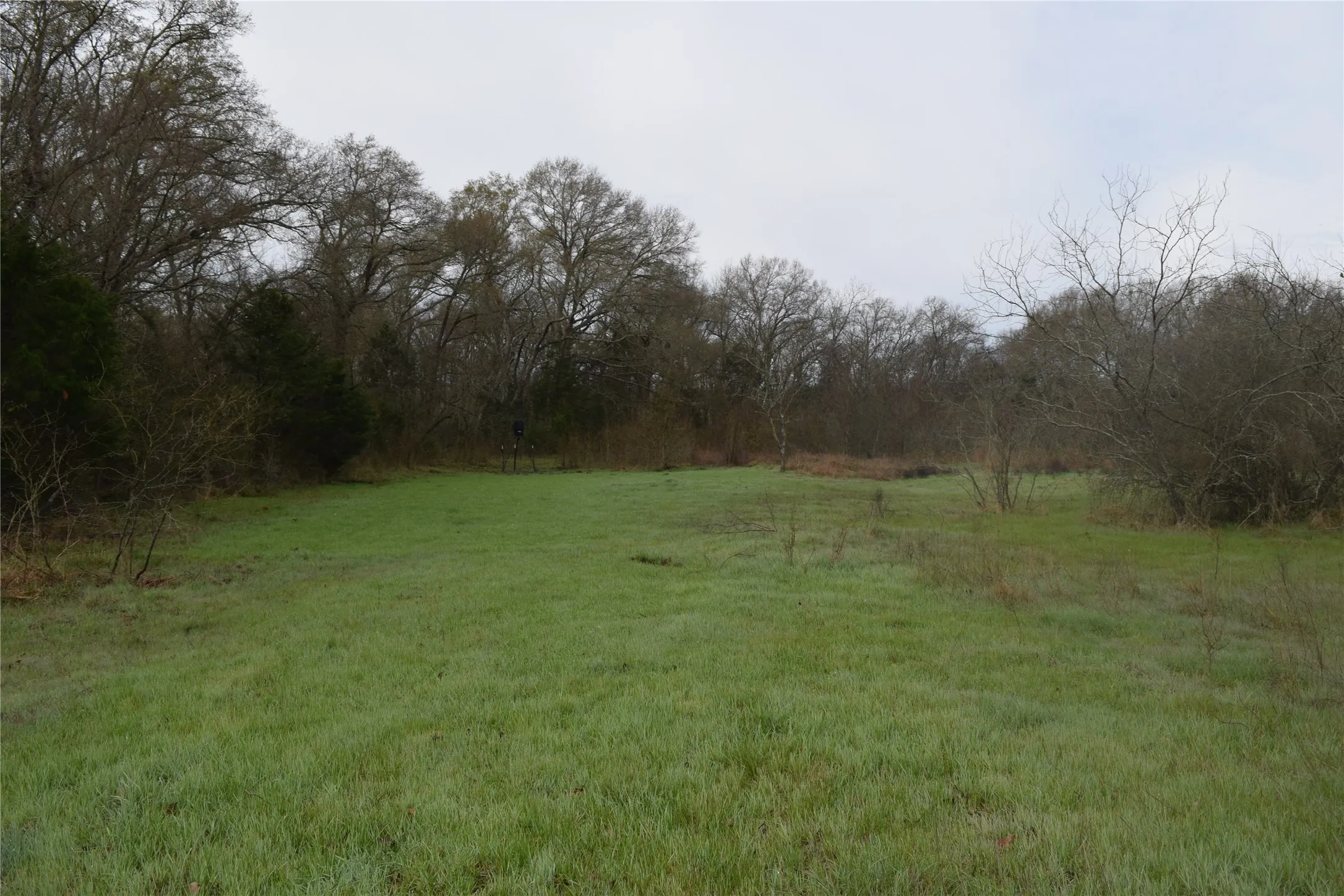 Ranch For Sale in Freestone County , 1110 Main, Streetman, Texas 75859, 0, 0, Garage spaces, 0 Sqft, built in 0, mls#21403173, Real Estate Agent in Streetman, Homes For Sale in Freestone county, Homes For Sale in Streetman, Realtor in Streetman Texas, Real Estate Brokerage Independent Realty Texas, Luminita Cordes Realtor
