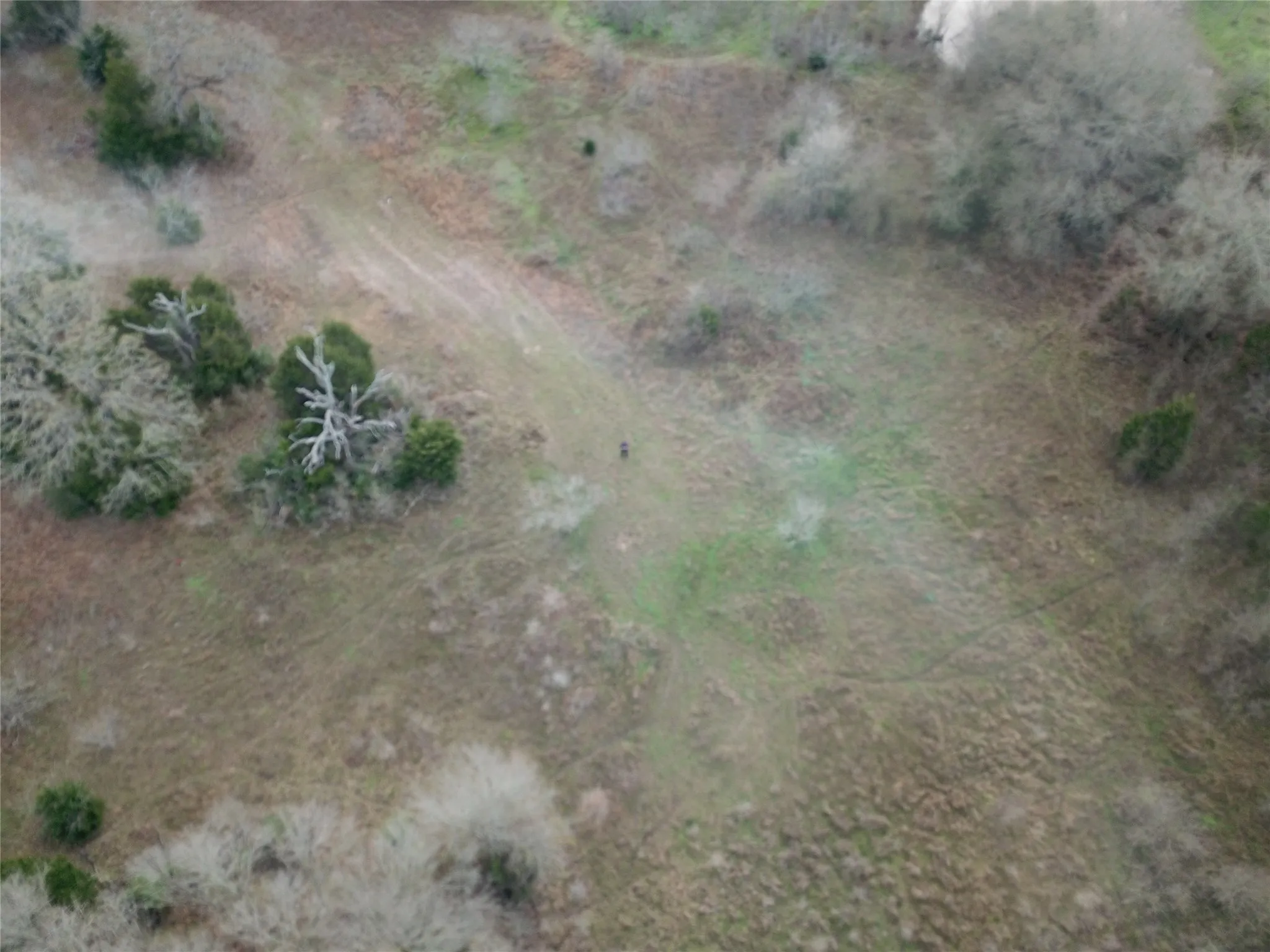 Ranch For Sale in Freestone County , 1110 Main, Streetman, Texas 75859, 0, 0, Garage spaces, 0 Sqft, built in 0, mls#21403173, Real Estate Agent in Streetman, Homes For Sale in Freestone county, Homes For Sale in Streetman, Realtor in Streetman Texas, Real Estate Brokerage Independent Realty Texas, Luminita Cordes Realtor