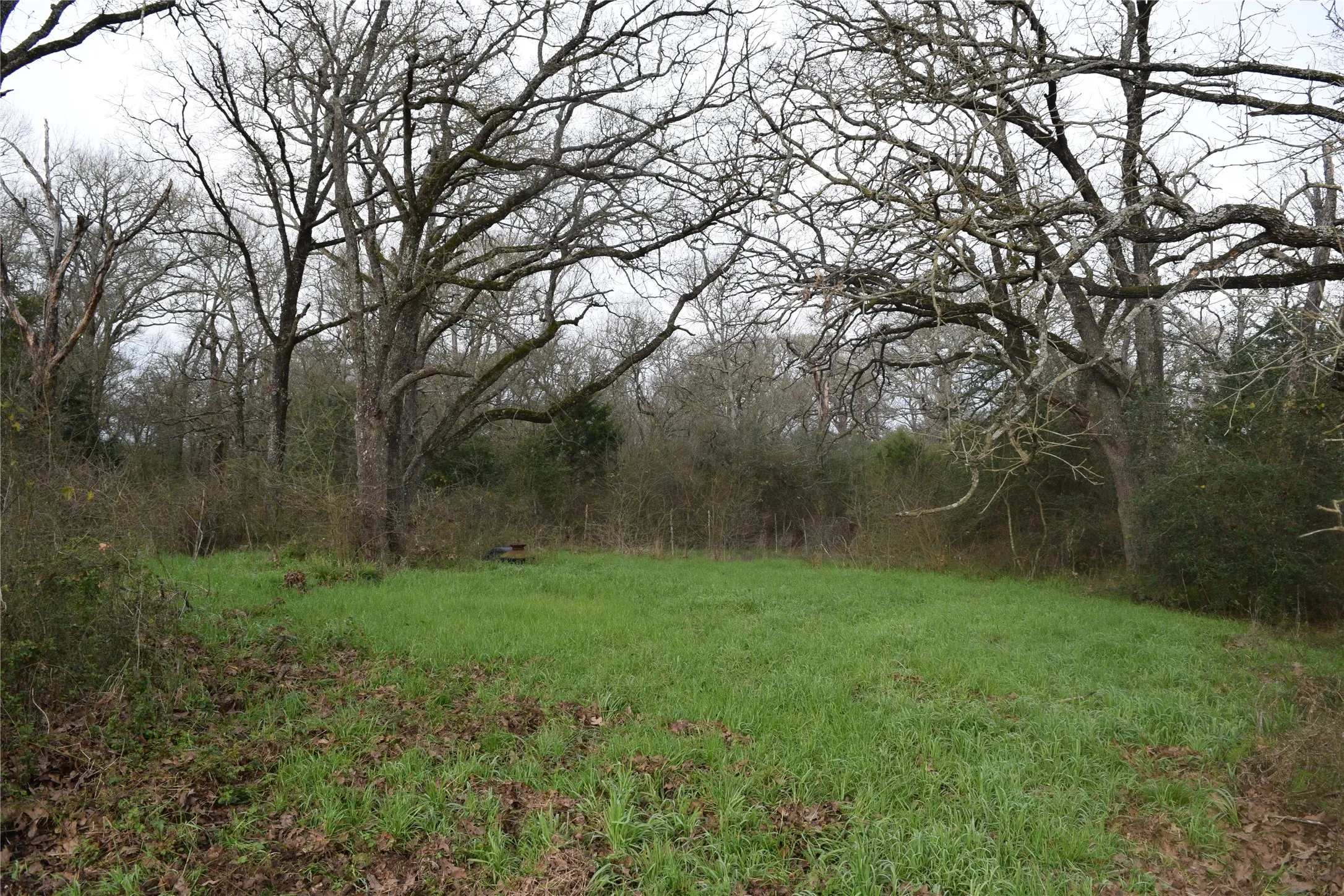 Ranch For Sale in Freestone County , 1110 Main, Streetman, Texas 75859, 0, 0, Garage spaces, 0 Sqft, built in 0, mls#21403173, Real Estate Agent in Streetman, Homes For Sale in Freestone county, Homes For Sale in Streetman, Realtor in Streetman Texas, Real Estate Brokerage Independent Realty Texas, Luminita Cordes Realtor