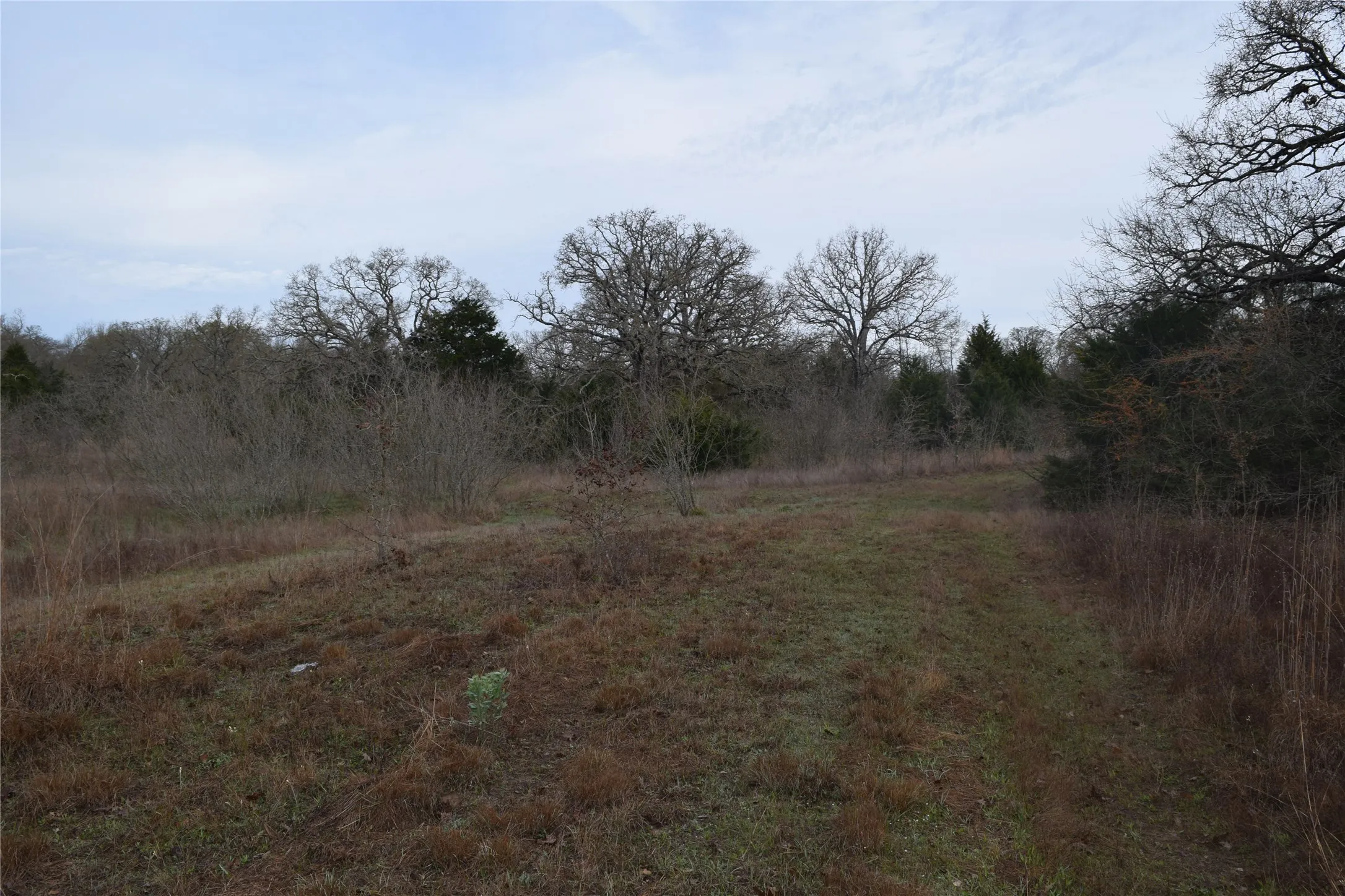 Ranch For Sale in Freestone County , 1110 Main, Streetman, Texas 75859, 0, 0, Garage spaces, 0 Sqft, built in 0, mls#21403173, Real Estate Agent in Streetman, Homes For Sale in Freestone county, Homes For Sale in Streetman, Realtor in Streetman Texas, Real Estate Brokerage Independent Realty Texas, Luminita Cordes Realtor