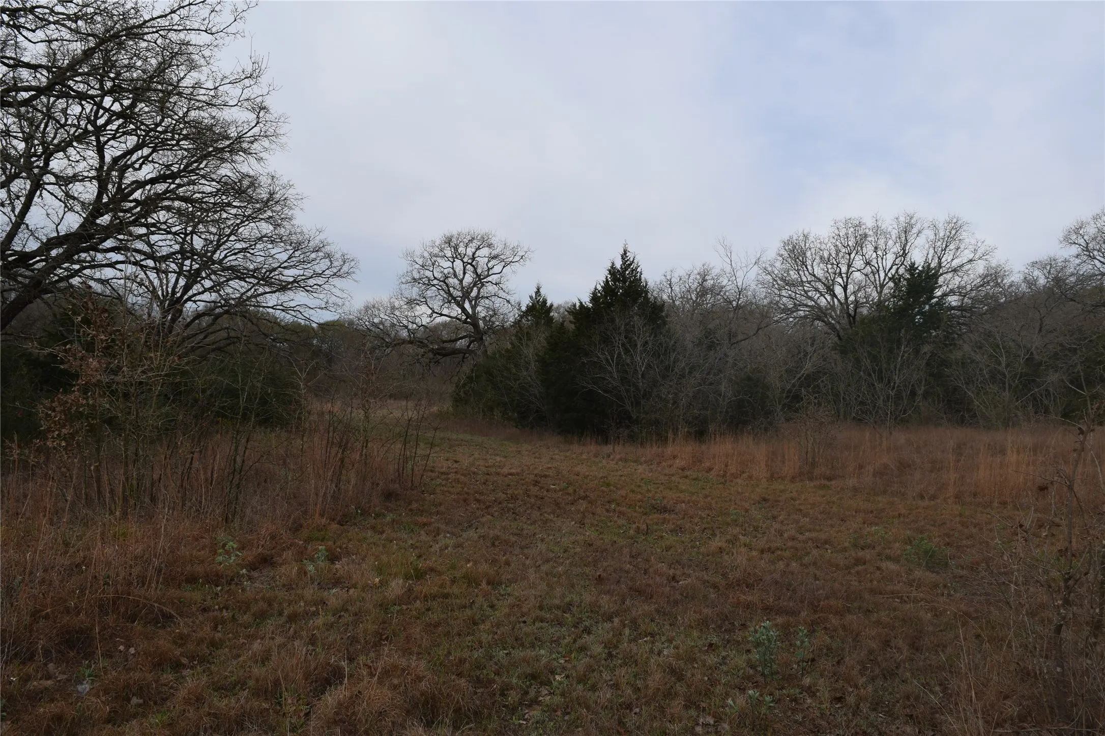 Ranch For Sale in Freestone County , 1110 Main, Streetman, Texas 75859, 0, 0, Garage spaces, 0 Sqft, built in 0, mls#21403173, Real Estate Agent in Streetman, Homes For Sale in Freestone county, Homes For Sale in Streetman, Realtor in Streetman Texas, Real Estate Brokerage Independent Realty Texas, Luminita Cordes Realtor