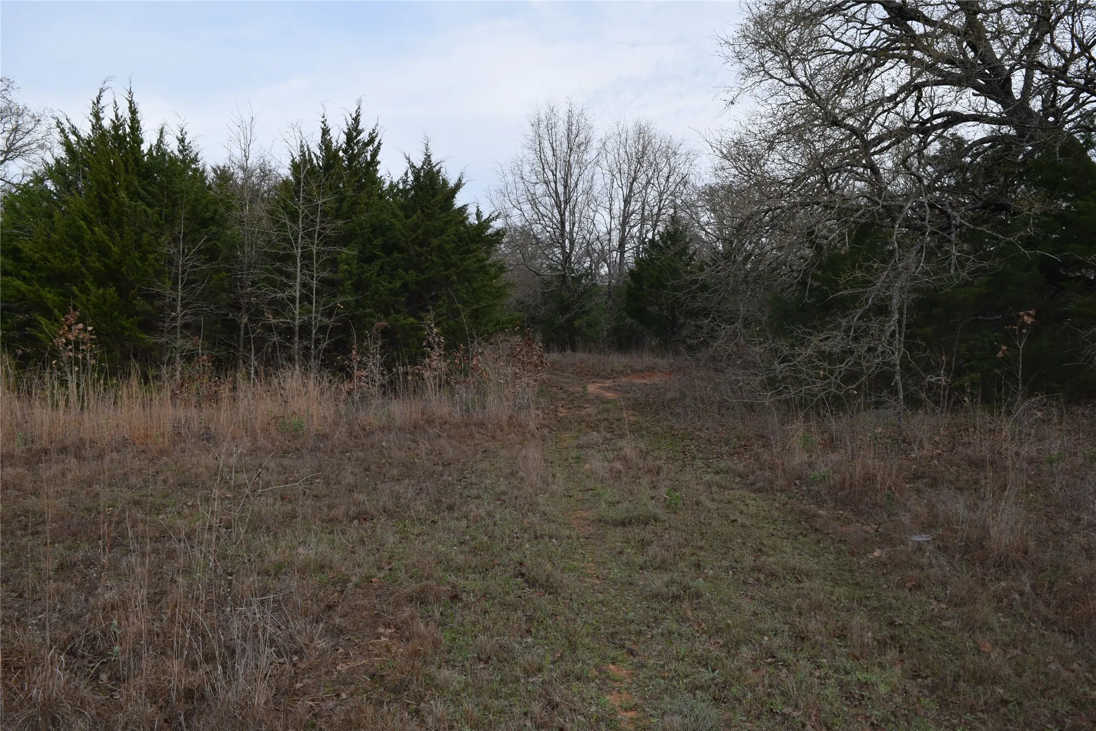 Ranch For Sale in Freestone County , 1110 Main, Streetman, Texas 75859, 0, 0, Garage spaces, 0 Sqft, built in 0, mls#21403173, Real Estate Agent in Streetman, Homes For Sale in Freestone county, Homes For Sale in Streetman, Realtor in Streetman Texas, Real Estate Brokerage Independent Realty Texas, Luminita Cordes Realtor
