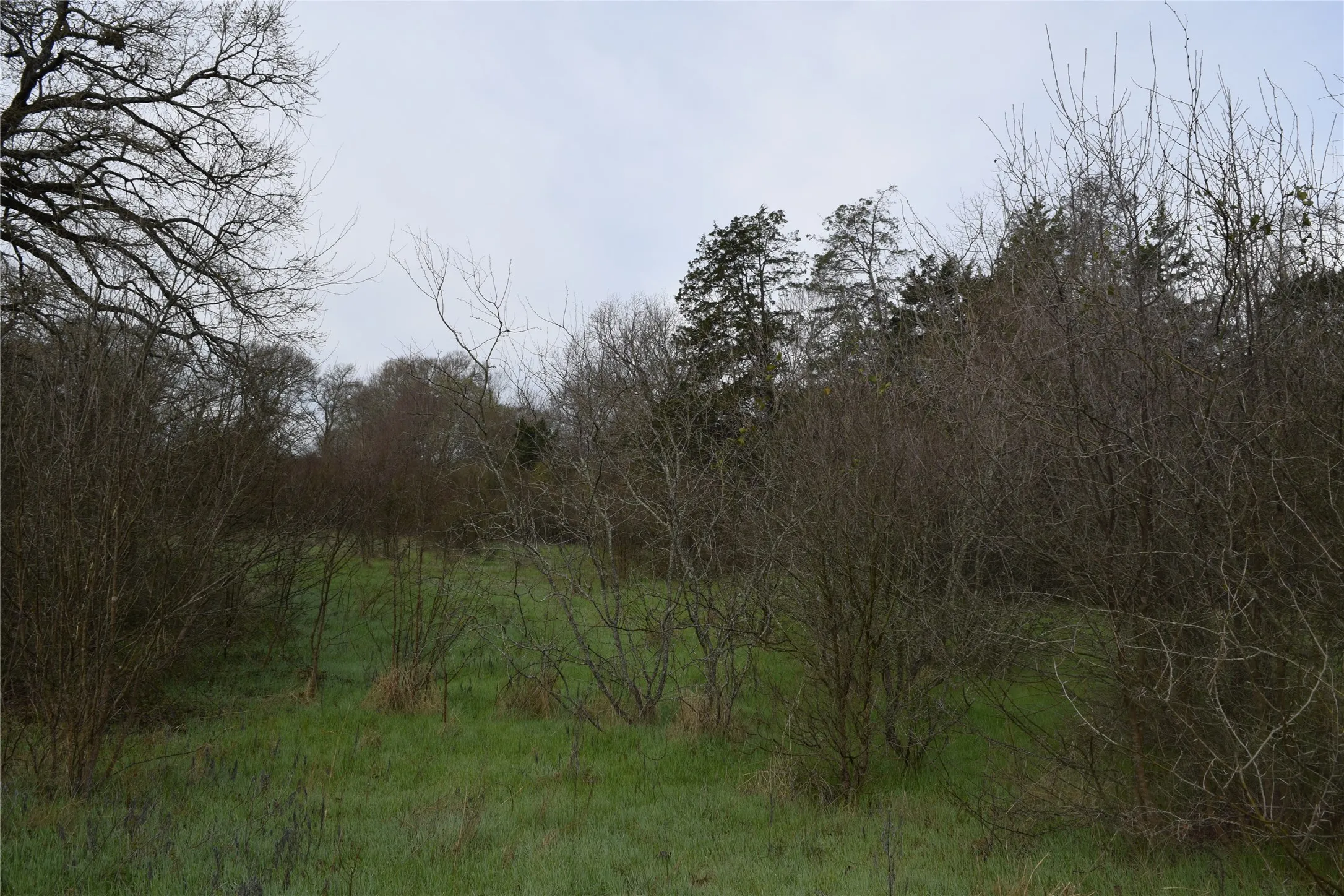 Ranch For Sale in Freestone County , 1110 Main, Streetman, Texas 75859, 0, 0, Garage spaces, 0 Sqft, built in 0, mls#21403173, Real Estate Agent in Streetman, Homes For Sale in Freestone county, Homes For Sale in Streetman, Realtor in Streetman Texas, Real Estate Brokerage Independent Realty Texas, Luminita Cordes Realtor