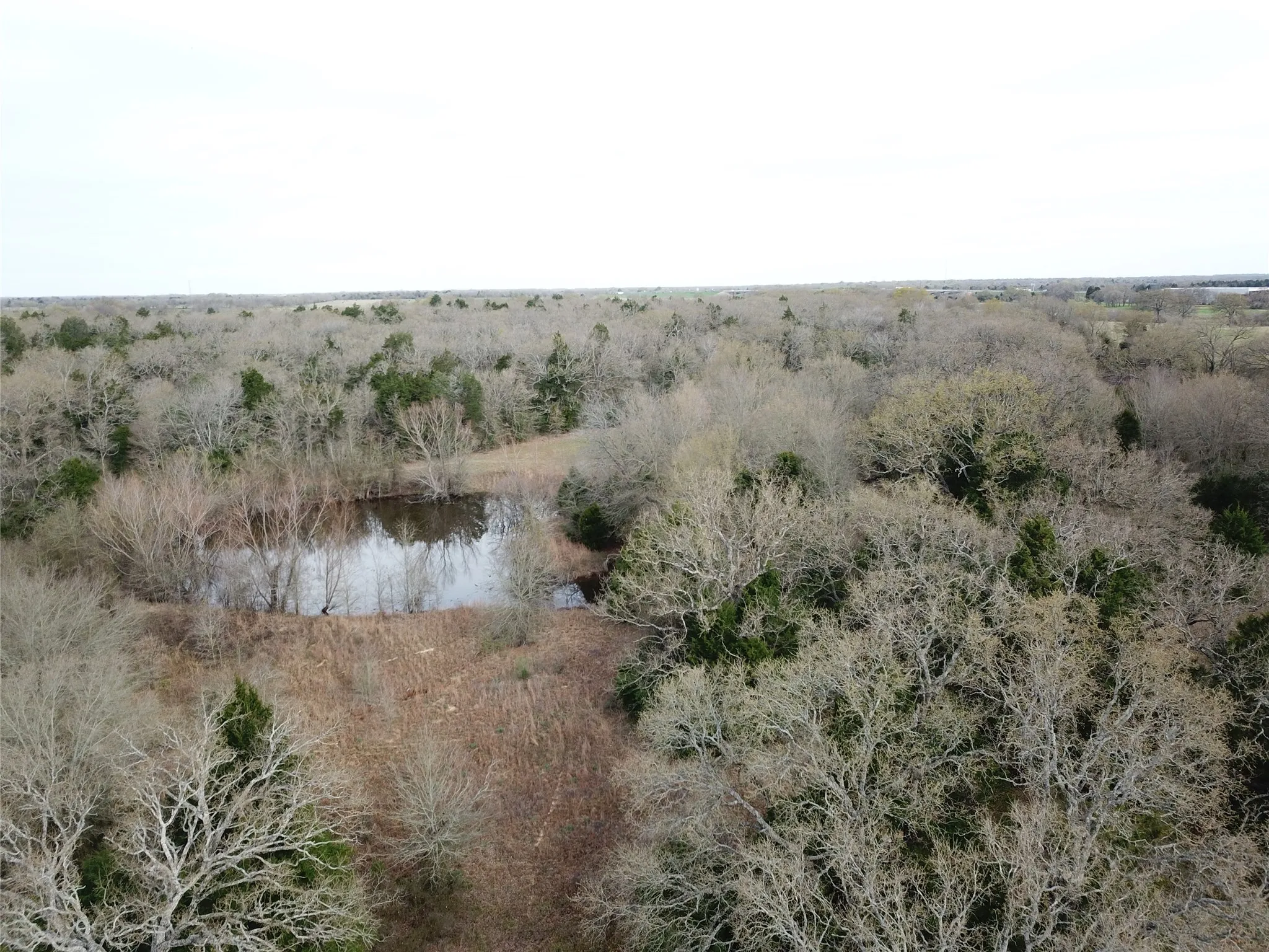 Ranch For Sale in Freestone County , 1110 Main, Streetman, Texas 75859, 0, 0, Garage spaces, 0 Sqft, built in 0, mls#21403173, Real Estate Agent in Streetman, Homes For Sale in Freestone county, Homes For Sale in Streetman, Realtor in Streetman Texas, Real Estate Brokerage Independent Realty Texas, Luminita Cordes Realtor