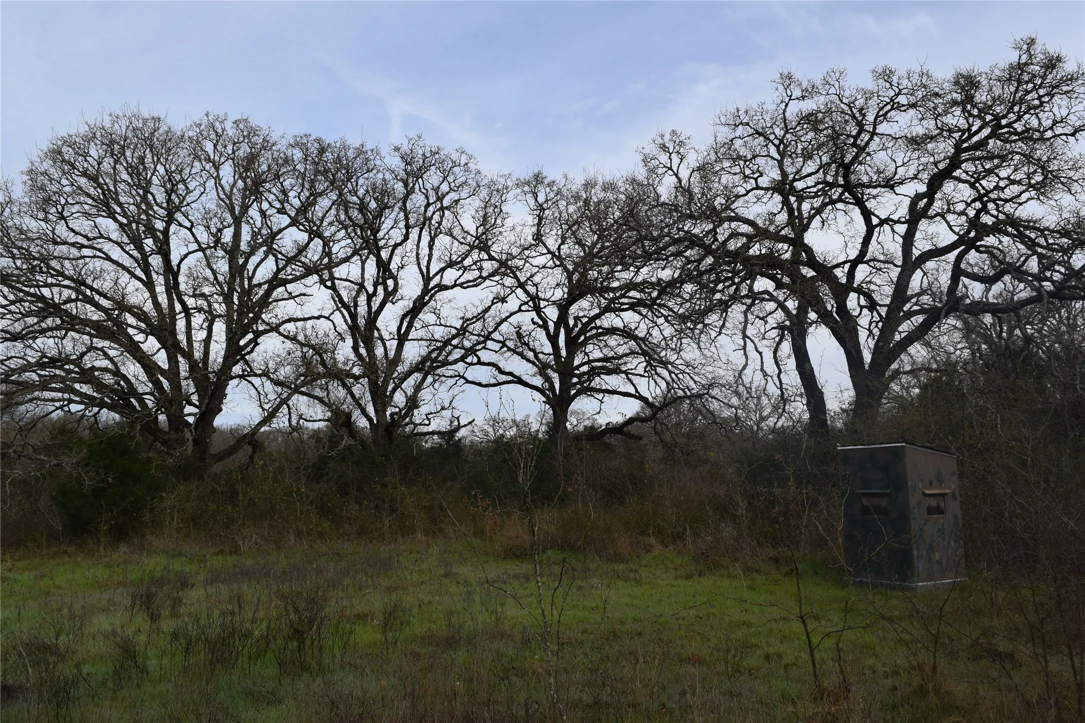 Ranch For Sale in Freestone County , 1110 Main, Streetman, Texas 75859, 0, 0, Garage spaces, 0 Sqft, built in 0, mls#21403173, Real Estate Agent in Streetman, Homes For Sale in Freestone county, Homes For Sale in Streetman, Realtor in Streetman Texas, Real Estate Brokerage Independent Realty Texas, Luminita Cordes Realtor