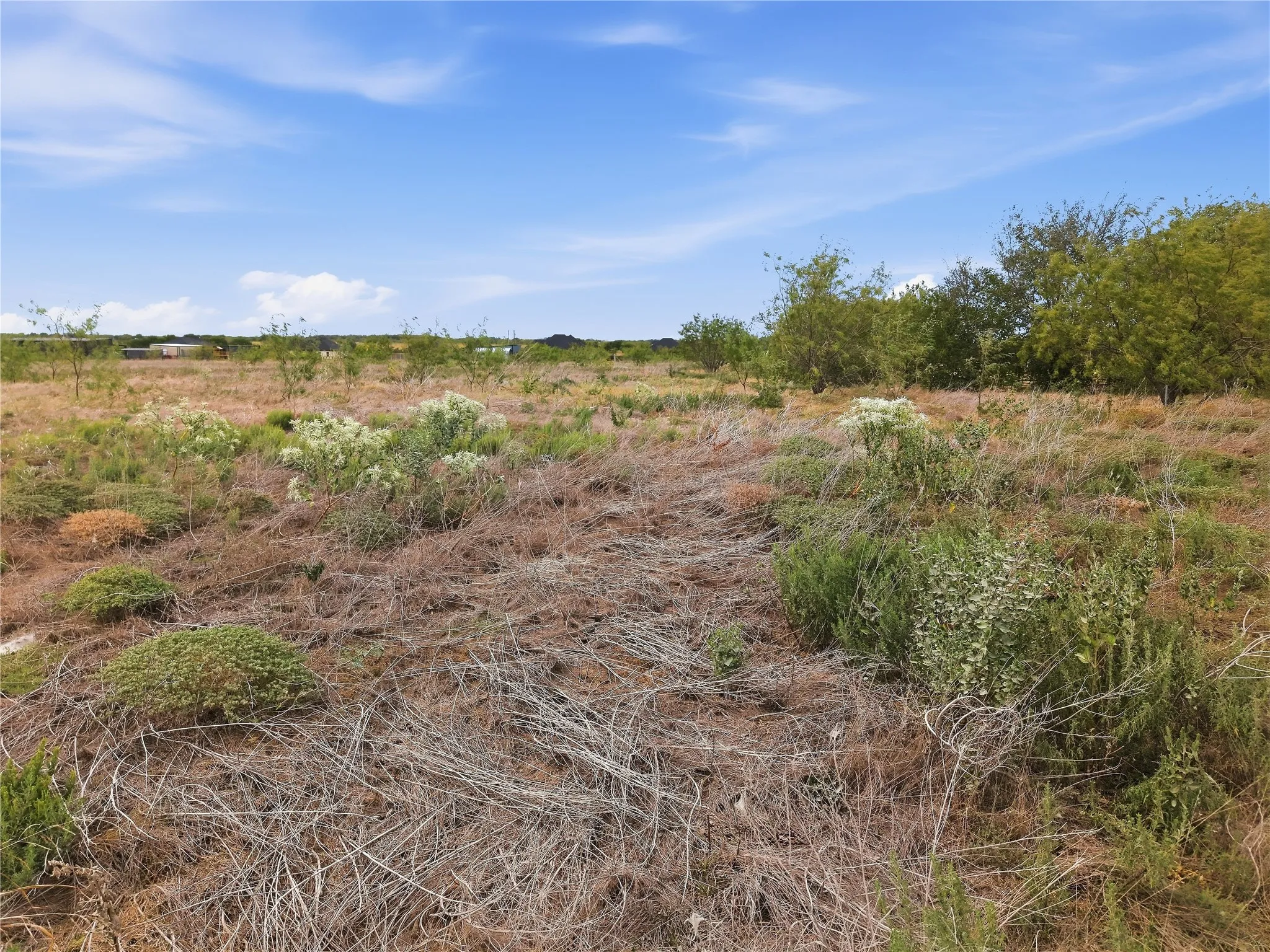 Expansive land offering a natural landscape with varied vegetation