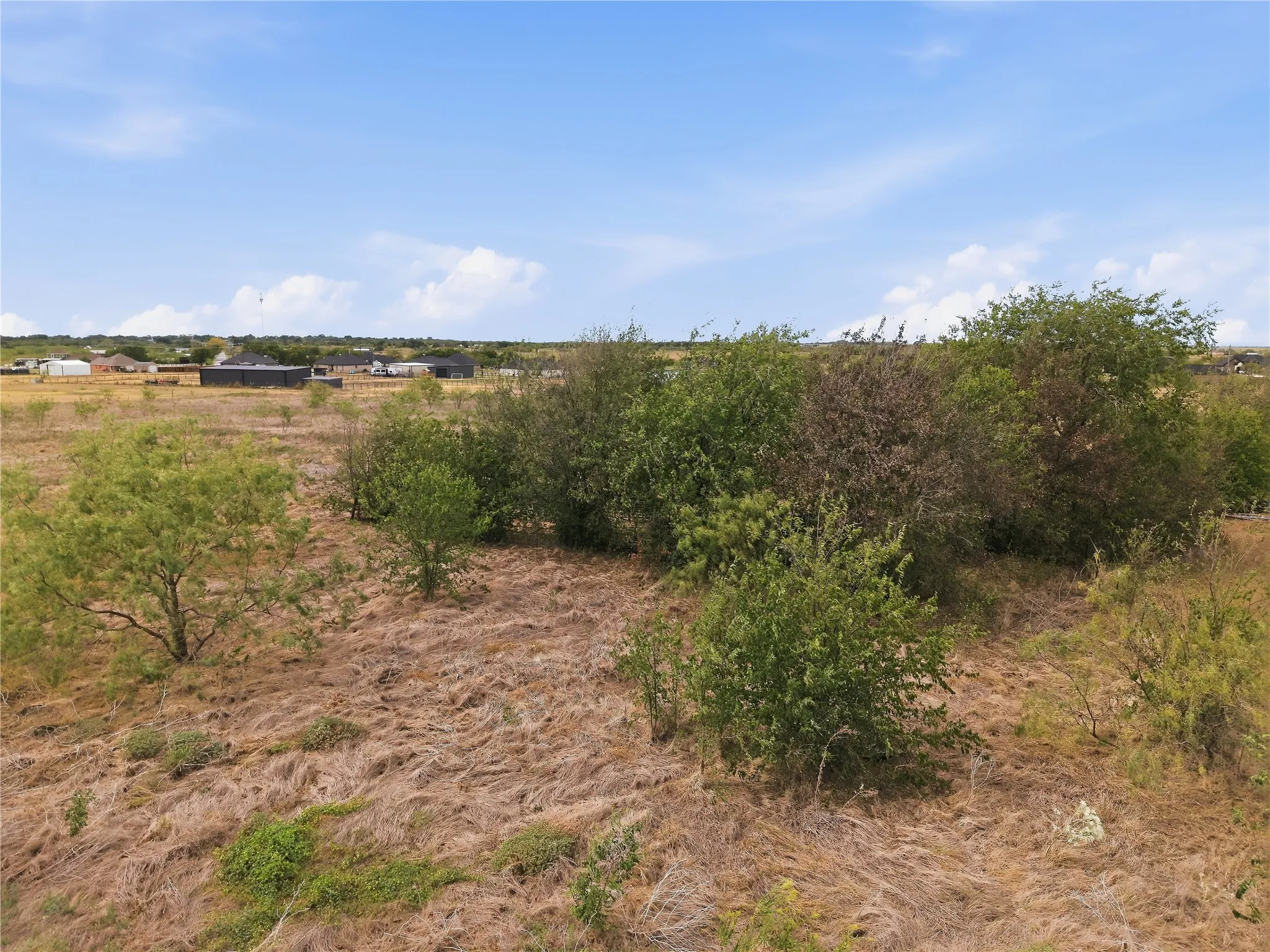 Expansive natural landscape featuring varied foliage and distant structures under a clear sky
