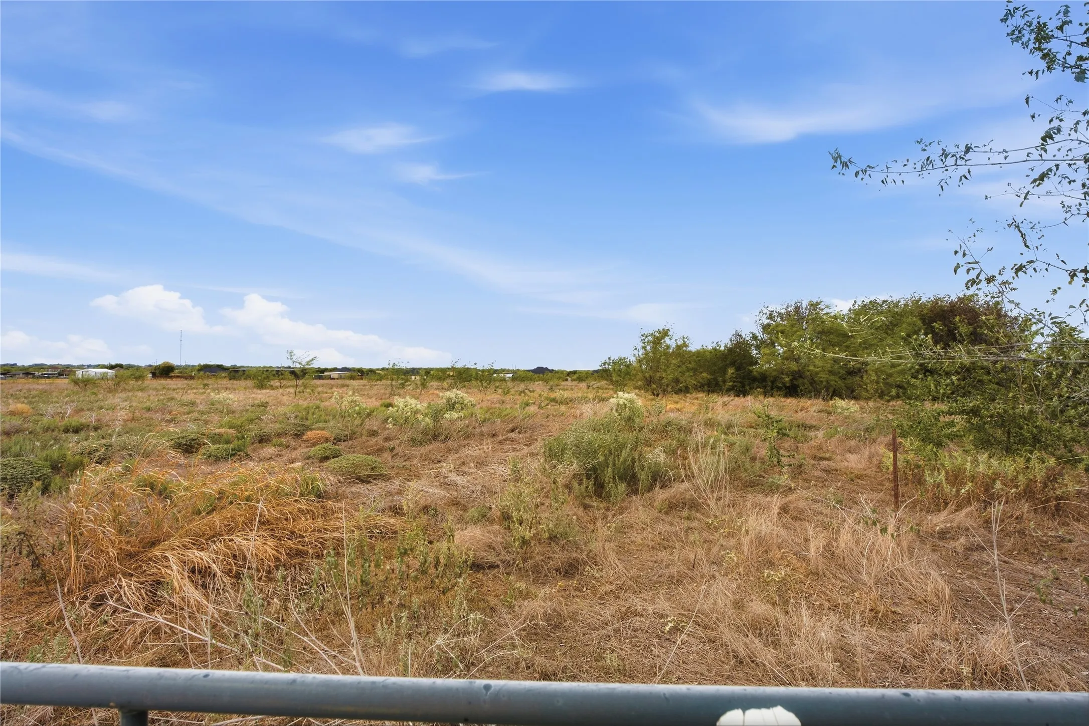Expansive undeveloped land featuring natural vegetation and a clear sky backdrop
