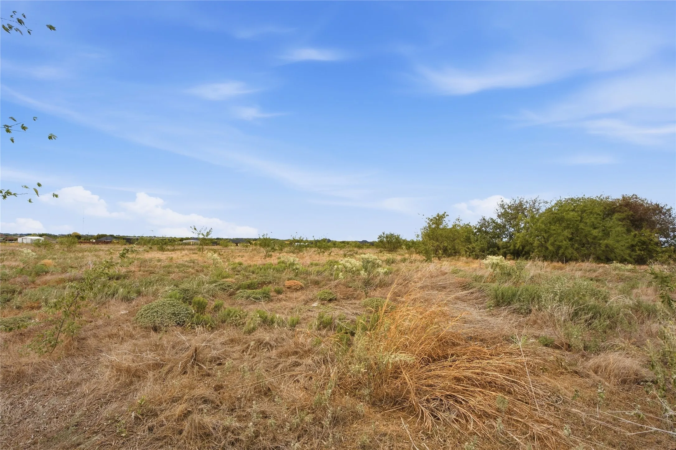 Expansive open land with varying ground cover and distant tree lines under a clear sky