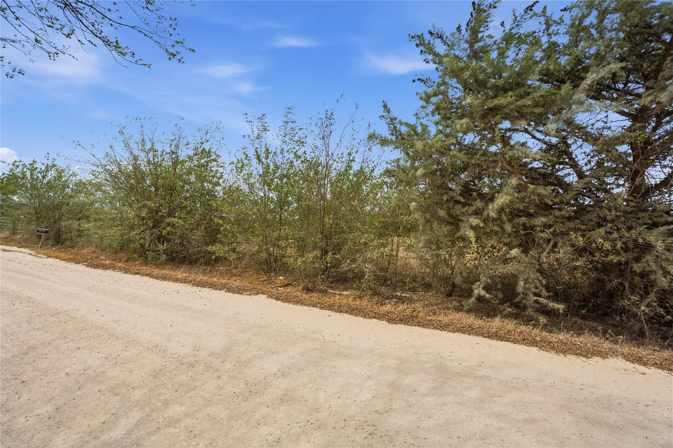 Unpaved road with surrounding vegetation and mature trees