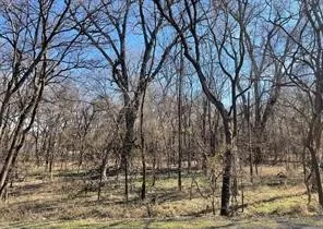 Unimproved Land For Sale in Tarrant County , 14310 Mcguire Street, Azle, Texas 76020, 0, 0, Garage spaces, 0 Sqft, built in 0, mls#21400898, Real Estate Agent in Azle, Homes For Sale in Tarrant county, Homes For Sale in Azle, Realtor in Azle Texas, Real Estate Brokerage Independent Realty Texas, Luminita Cordes Realtor