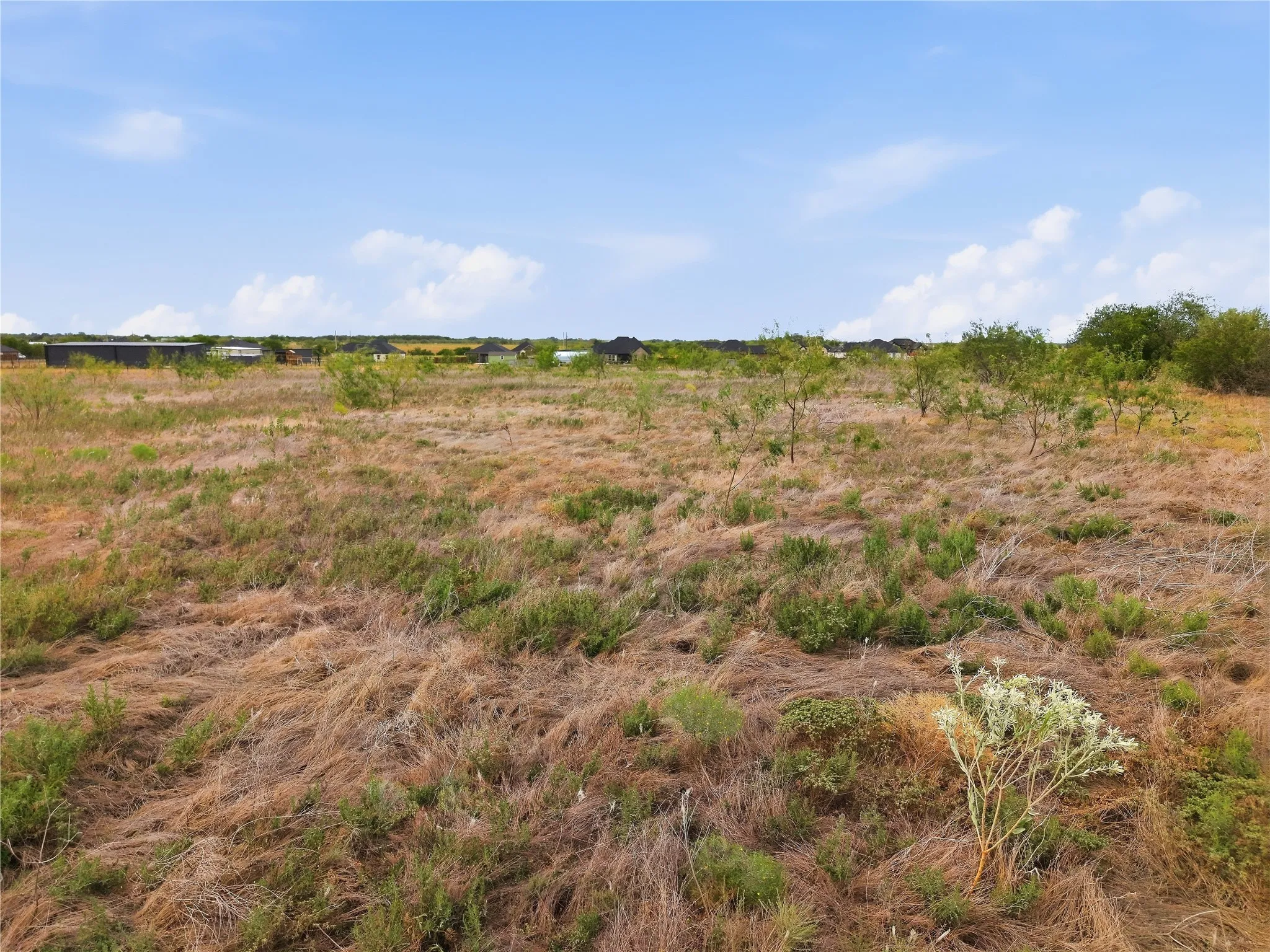 Expansive open land featuring natural vegetation and distant structures