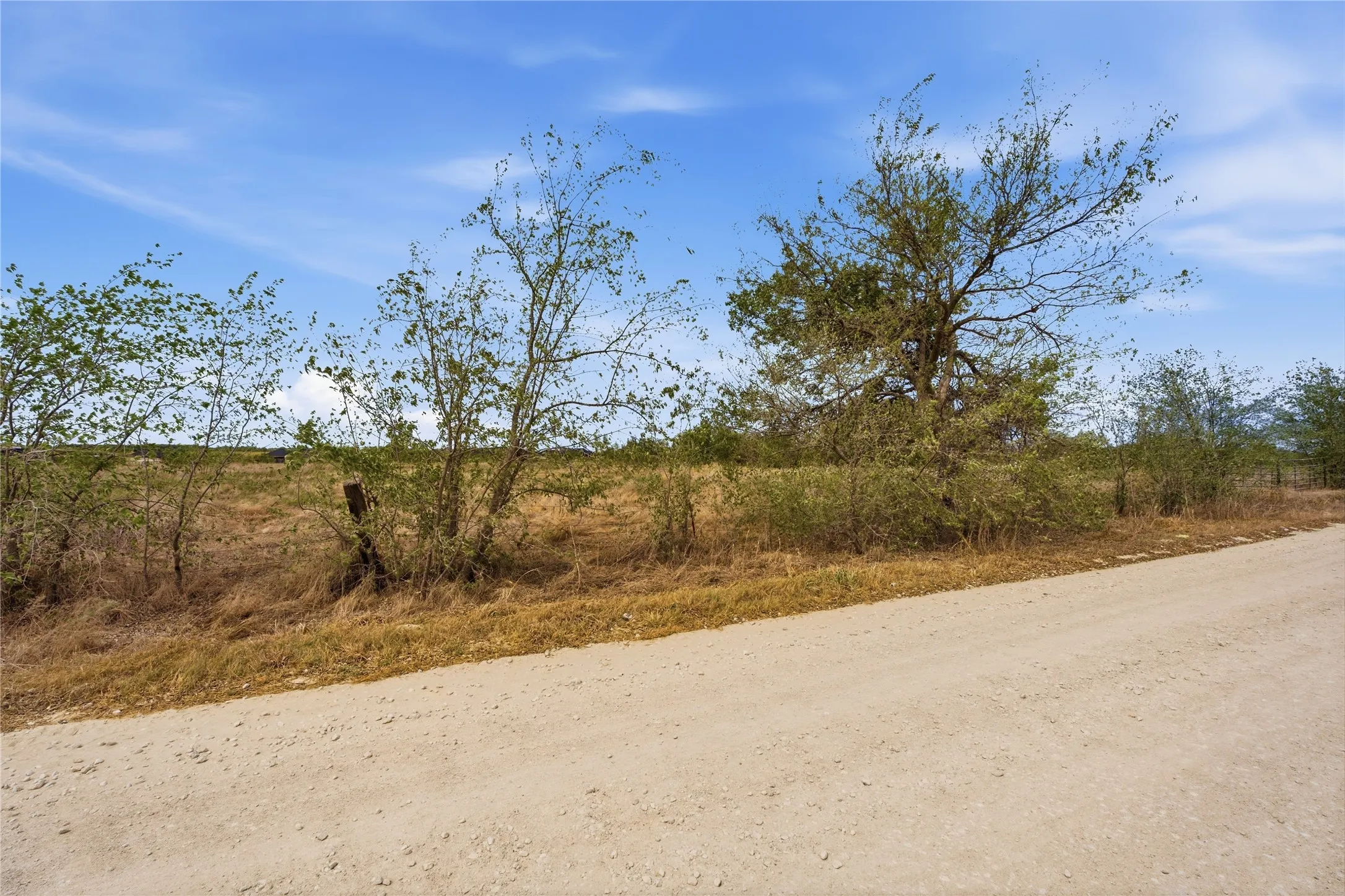 Rural setting with a gravel road, mature trees, and natural vegetation