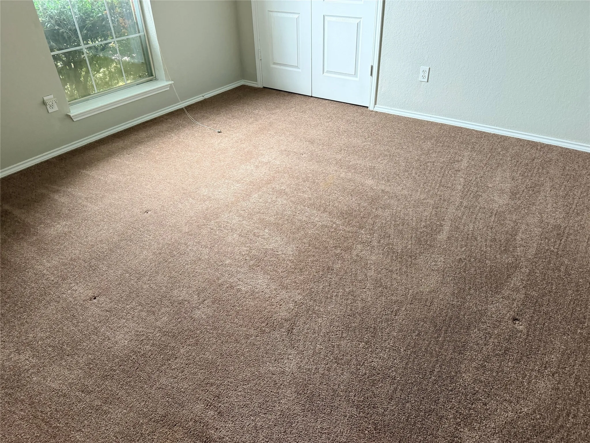 Warm brown carpet flooring throughout