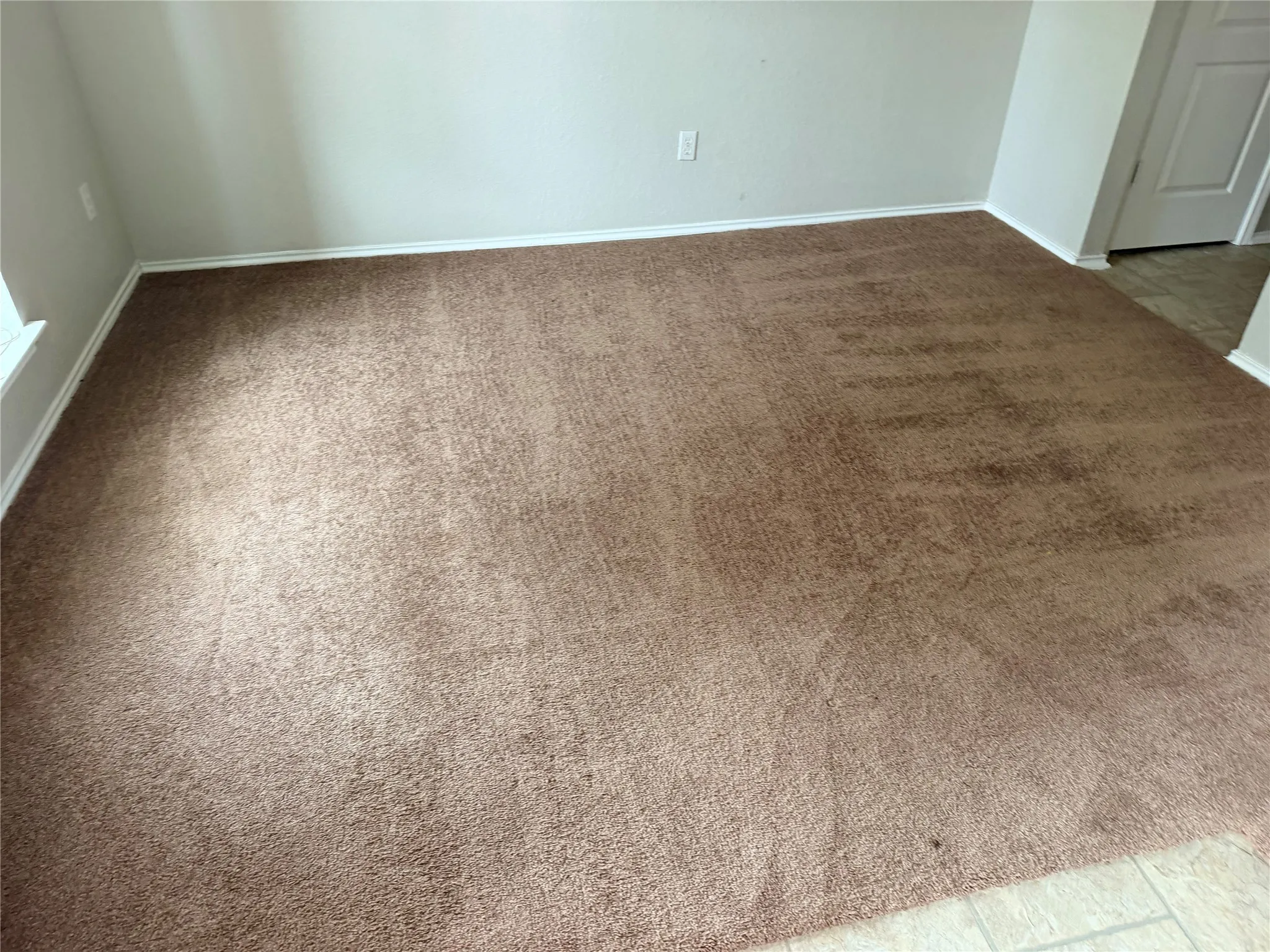 Wall-to-wall carpeting with light-toned walls and crisp white trim