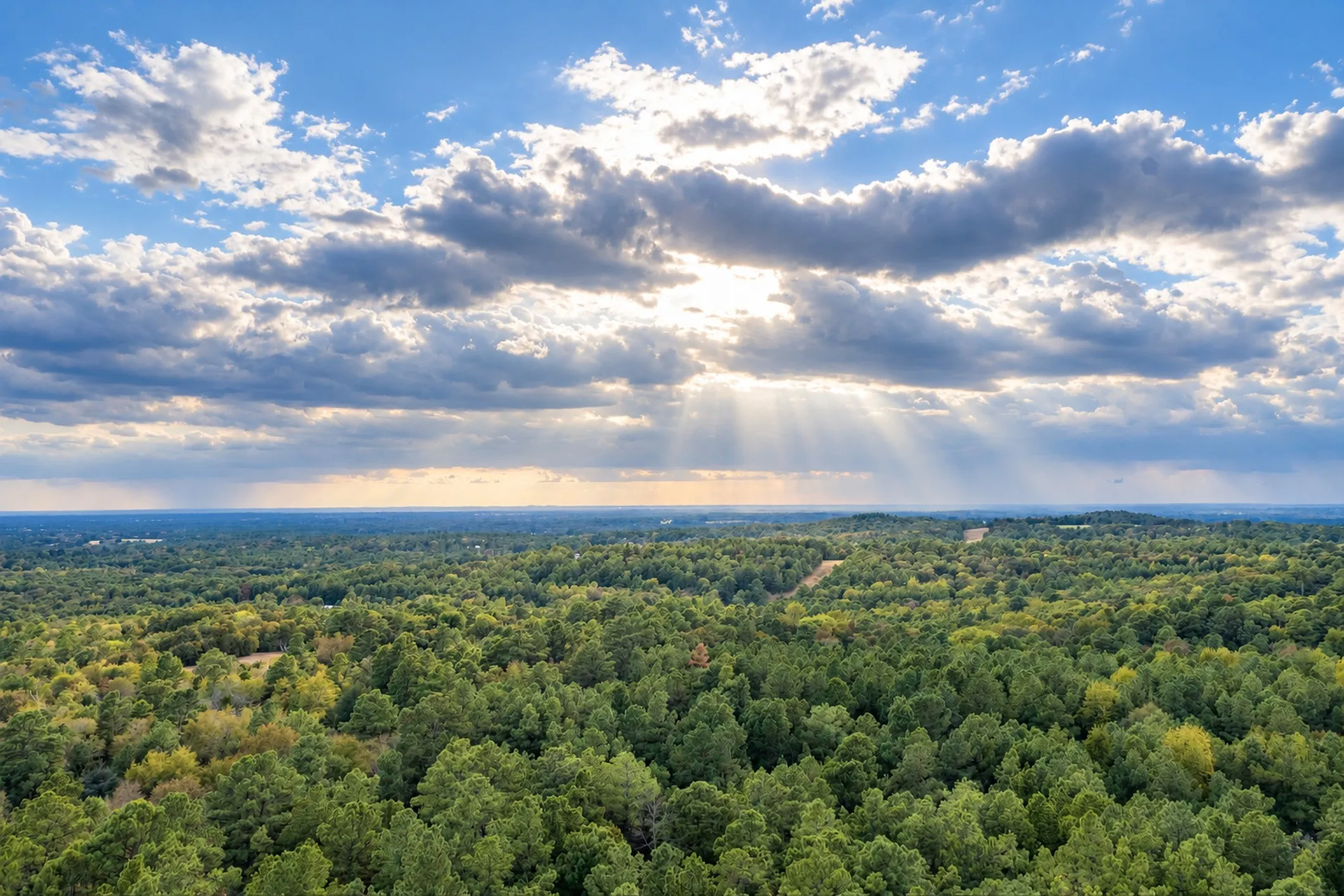 Unimproved Land For Sale in Anderson County , 00 Off of County Road 448, Palestine, Texas 75803, 0, 0, Garage spaces, 0 Sqft, built in 0, mls#21403258, Real Estate Agent in Palestine, Homes For Sale in Anderson county, Homes For Sale in Palestine, Realtor in Palestine Texas, Real Estate Brokerage Independent Realty Texas, Luminita Cordes Realtor